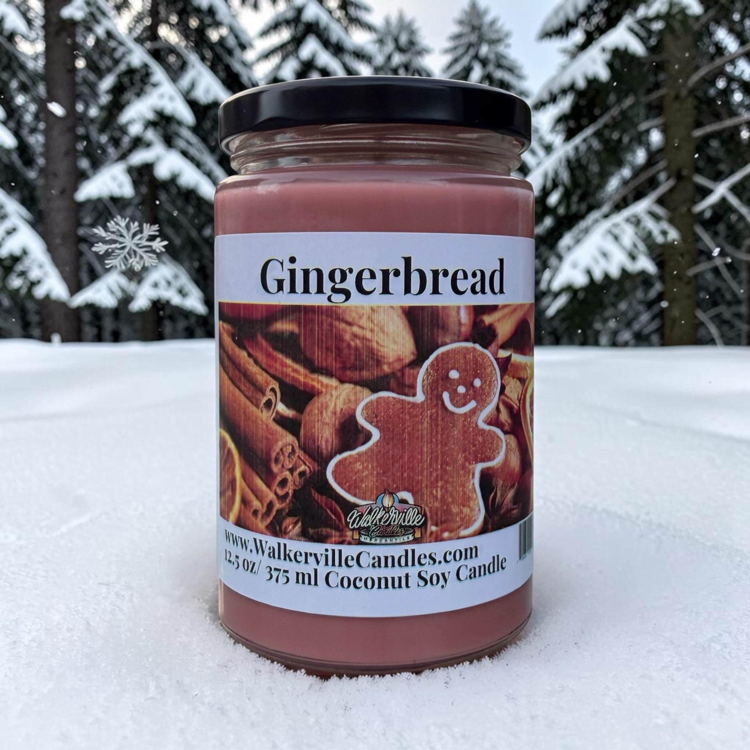 Gingerbread Coconut Soy 12.5 oz/ 375 ml Candle