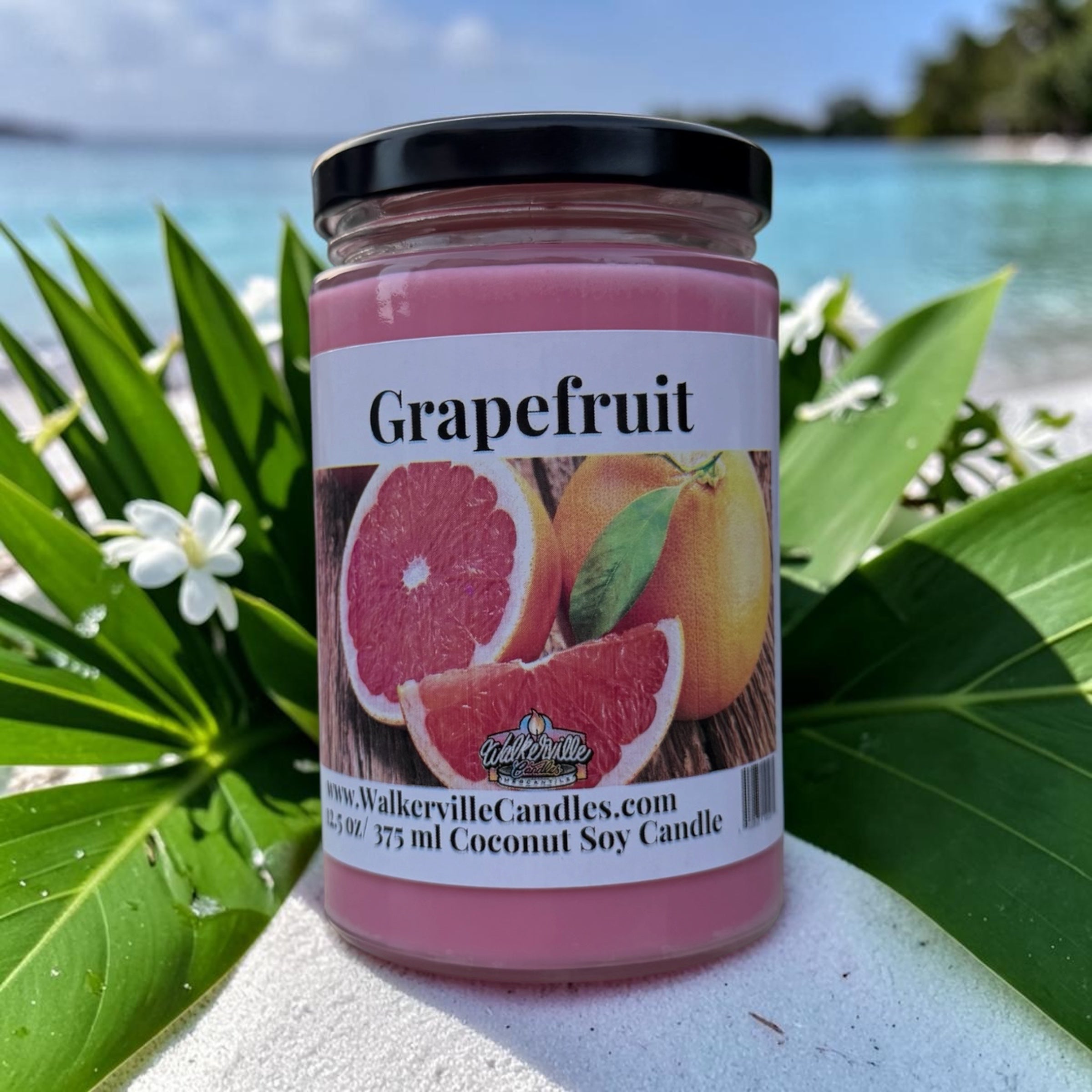 Grapefruit Coconut Soy 12.5 oz/ 375 ml Candle