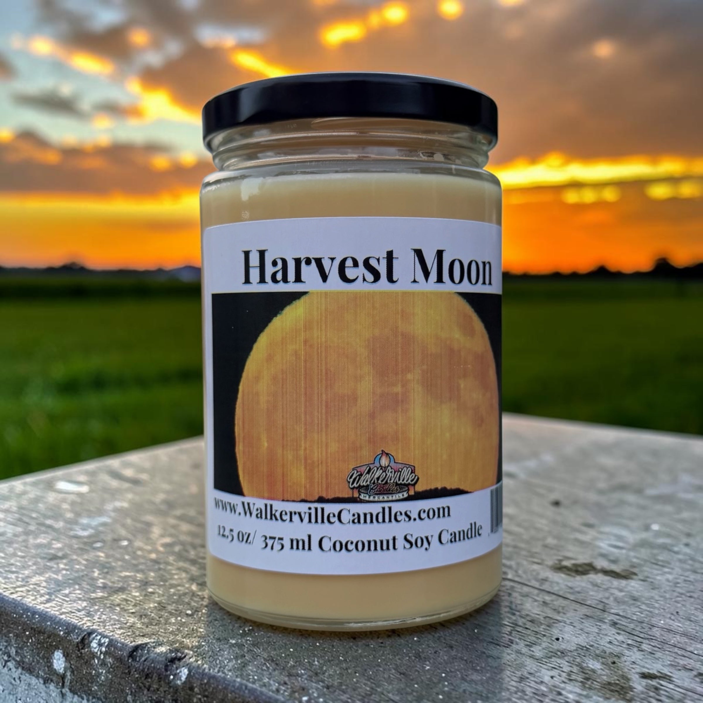 Harvest Moon Coconut Soy 12.5 oz/ 375 ml Candle Wood Wick