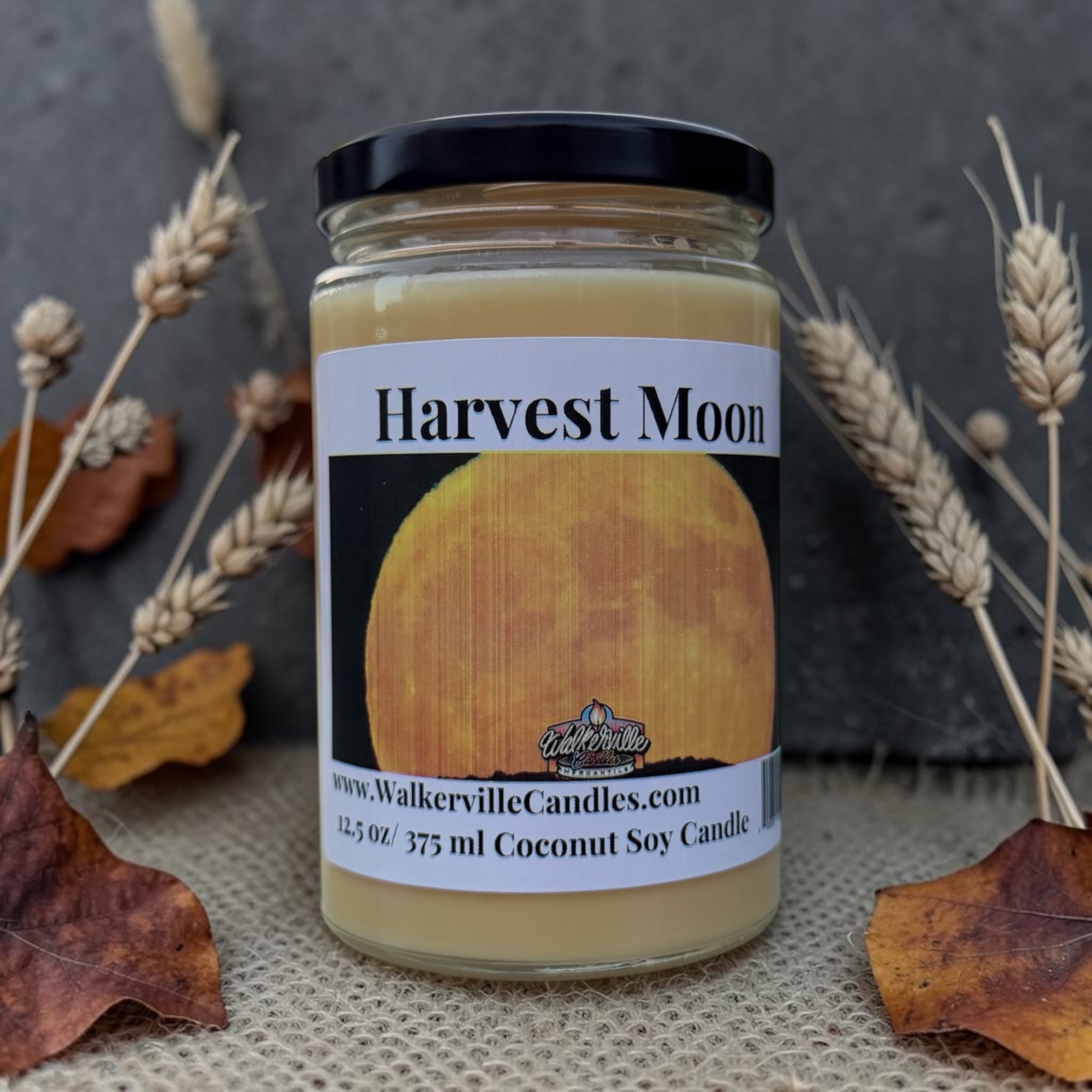 Harvest Moon Coconut Soy 12.5 oz/ 375 ml Candle Wood Wick