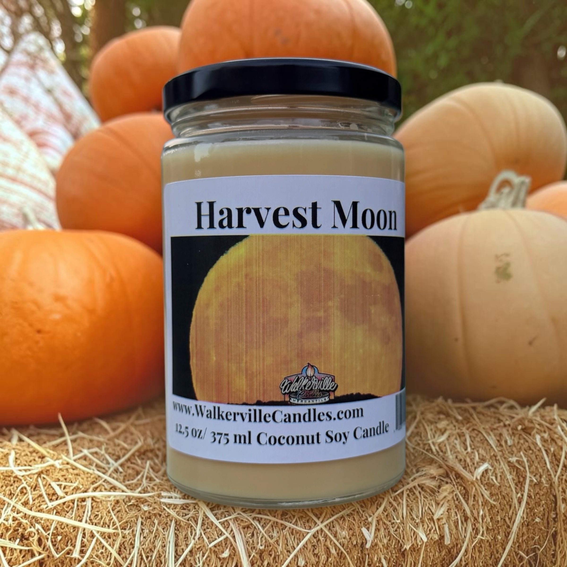 Harvest Moon Coconut Soy 12.5 oz/ 375 ml Candle