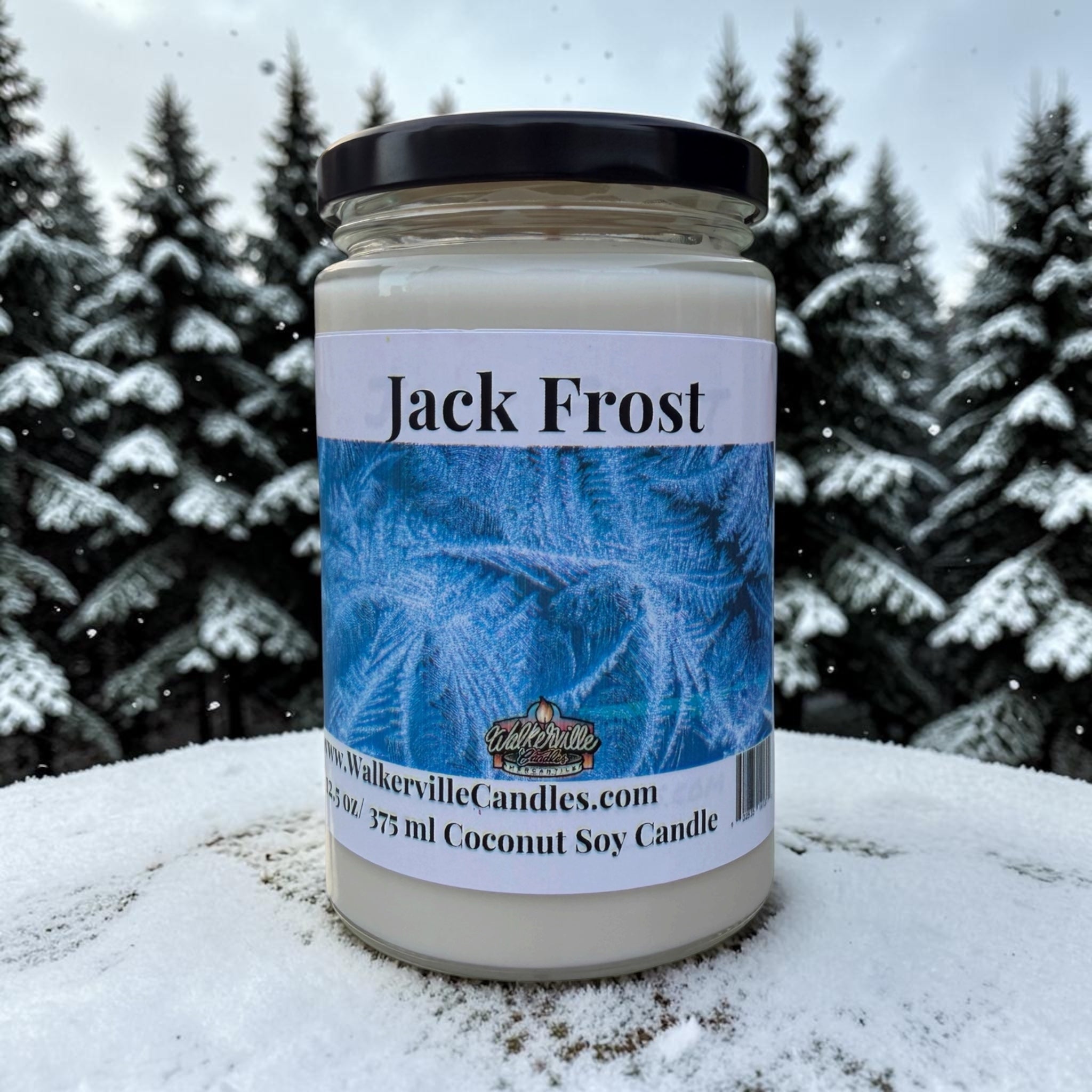 Jack Frost Coconut Soy 12.5 oz/ 375 ml Candle Wood Wick