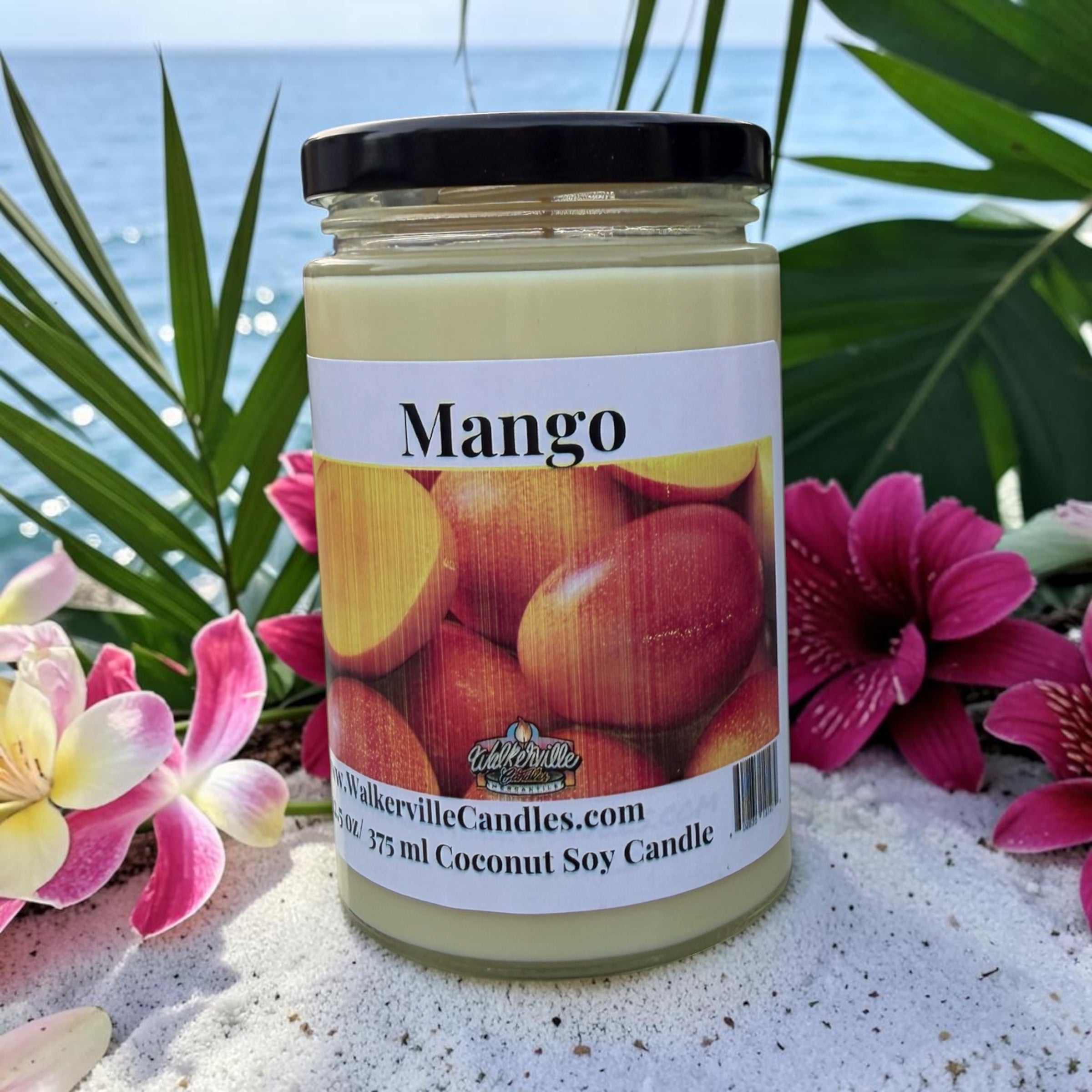 Mango Coconut Soy 12.5 oz/ 375 ml Candle Wood Wick