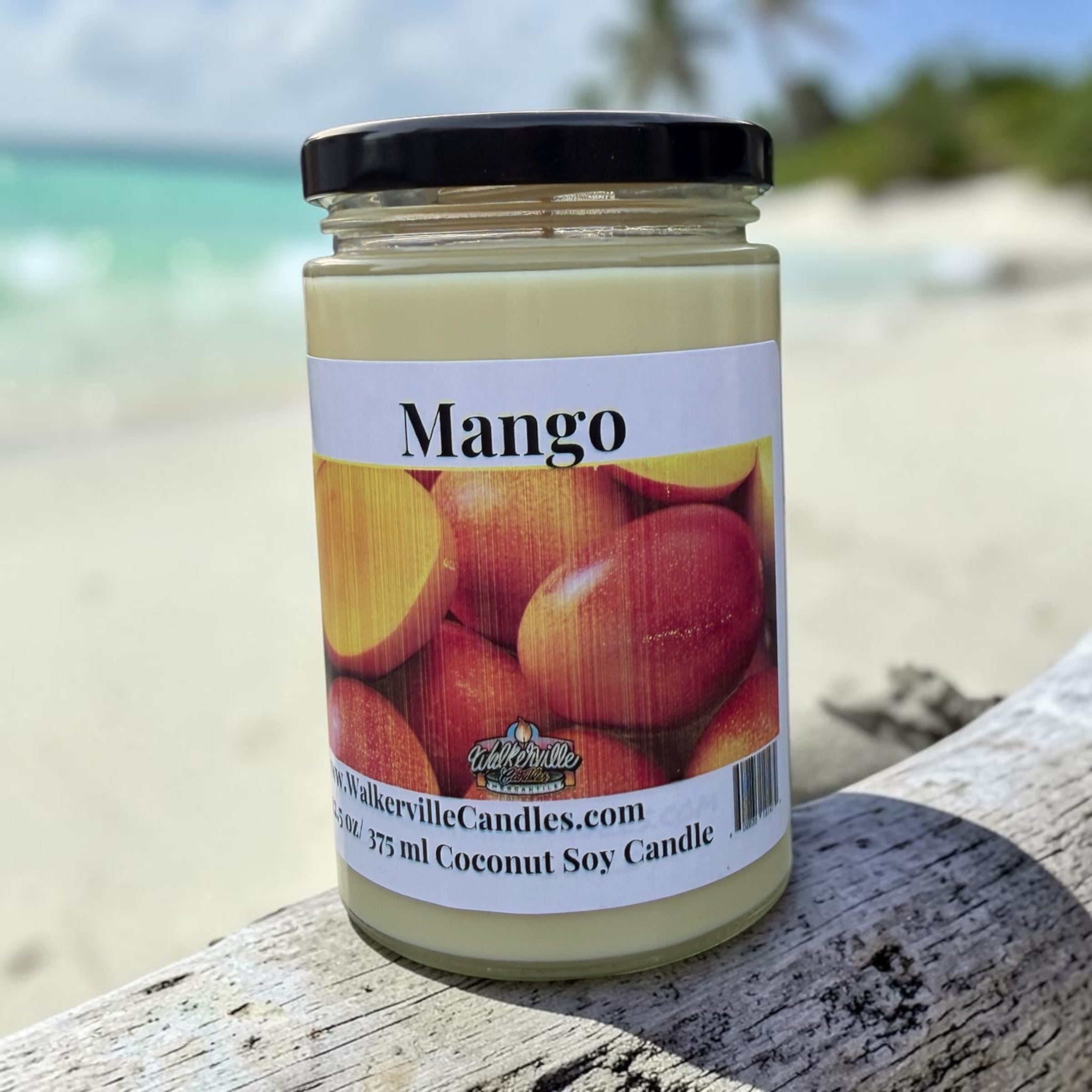 Mango Coconut Soy 12.5 oz/ 375 ml Candle Wood Wick