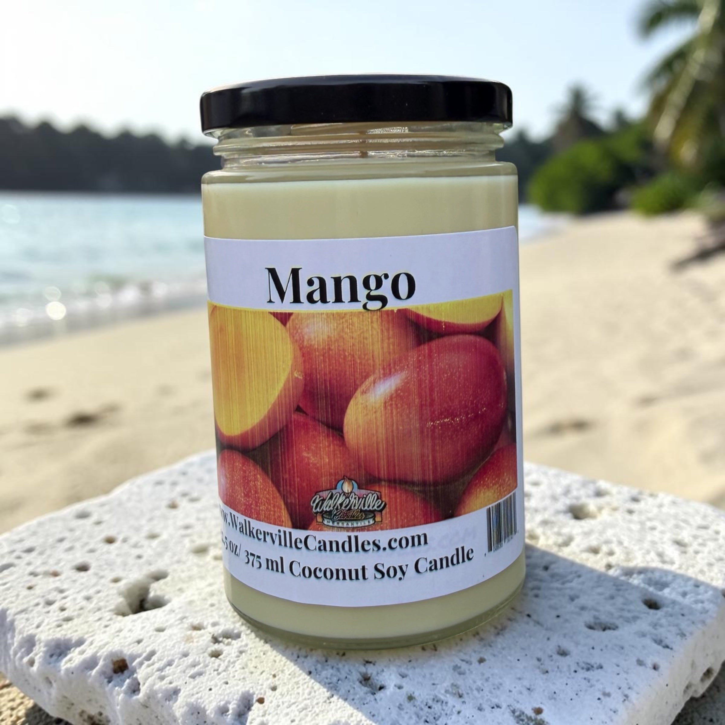 Mango Coconut Soy 12.5 oz/ 375 ml Candle Wood Wick
