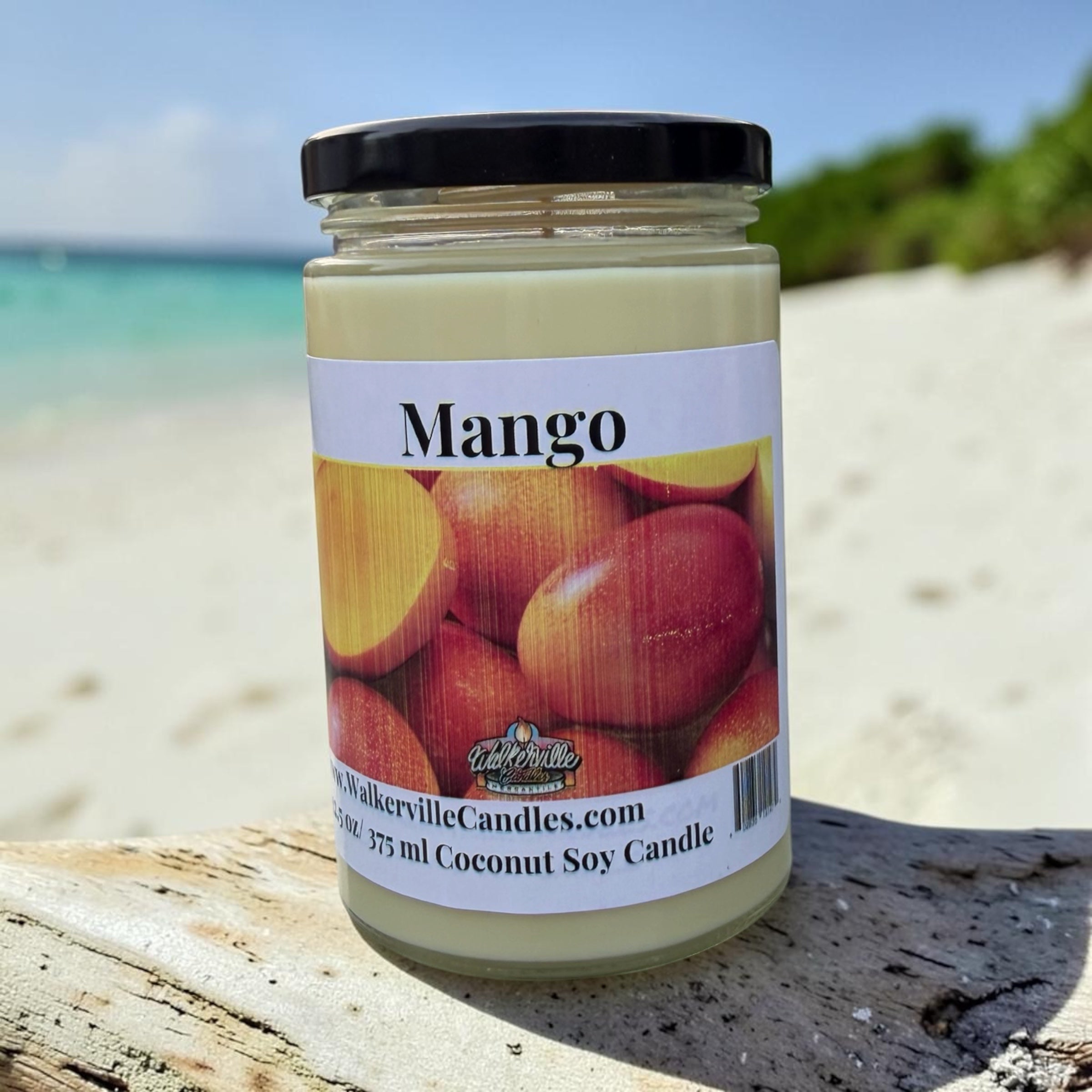 Mango Coconut Soy 12.5 oz/ 375 ml Candle