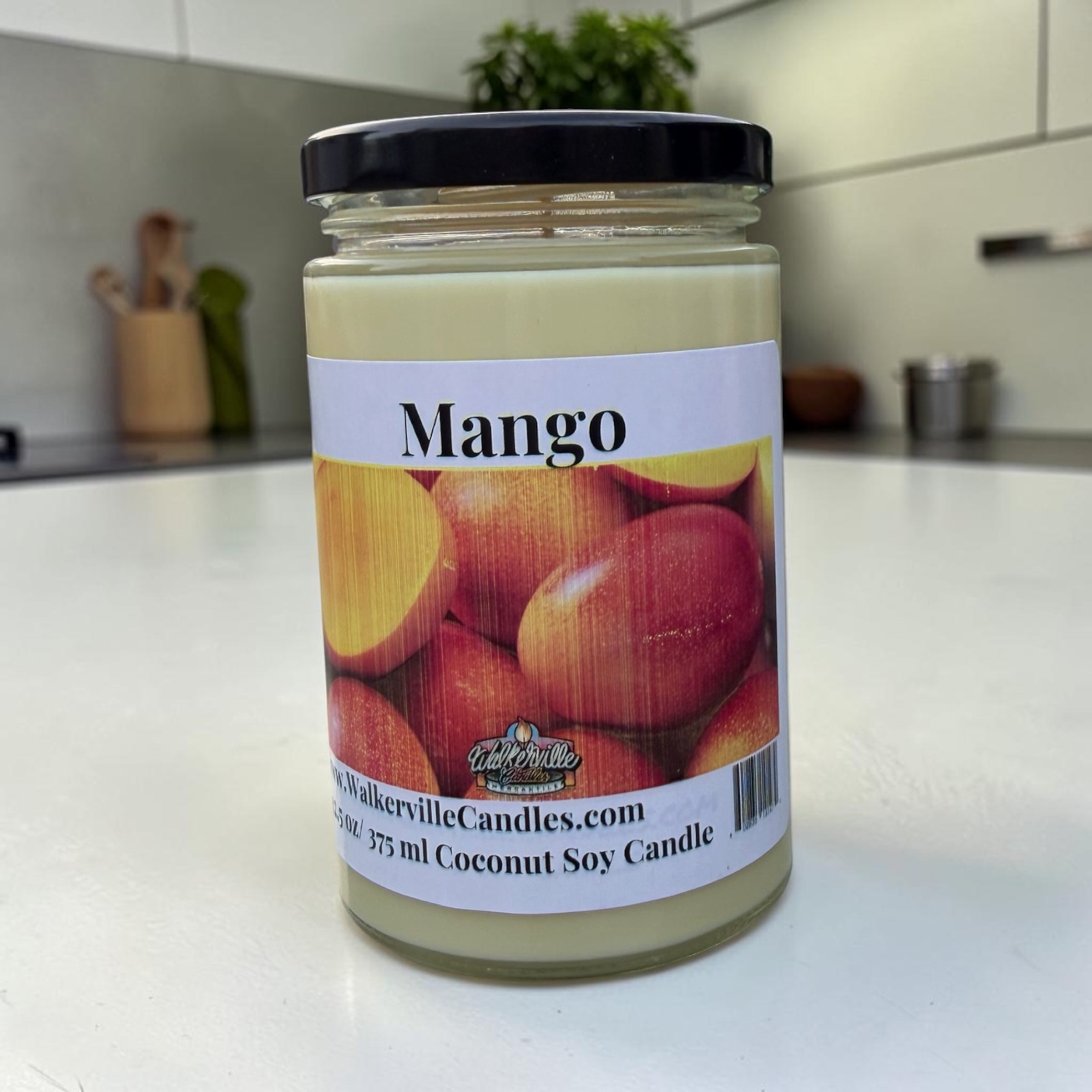 Mango Coconut Soy 12.5 oz/ 375 ml Candle Wood Wick