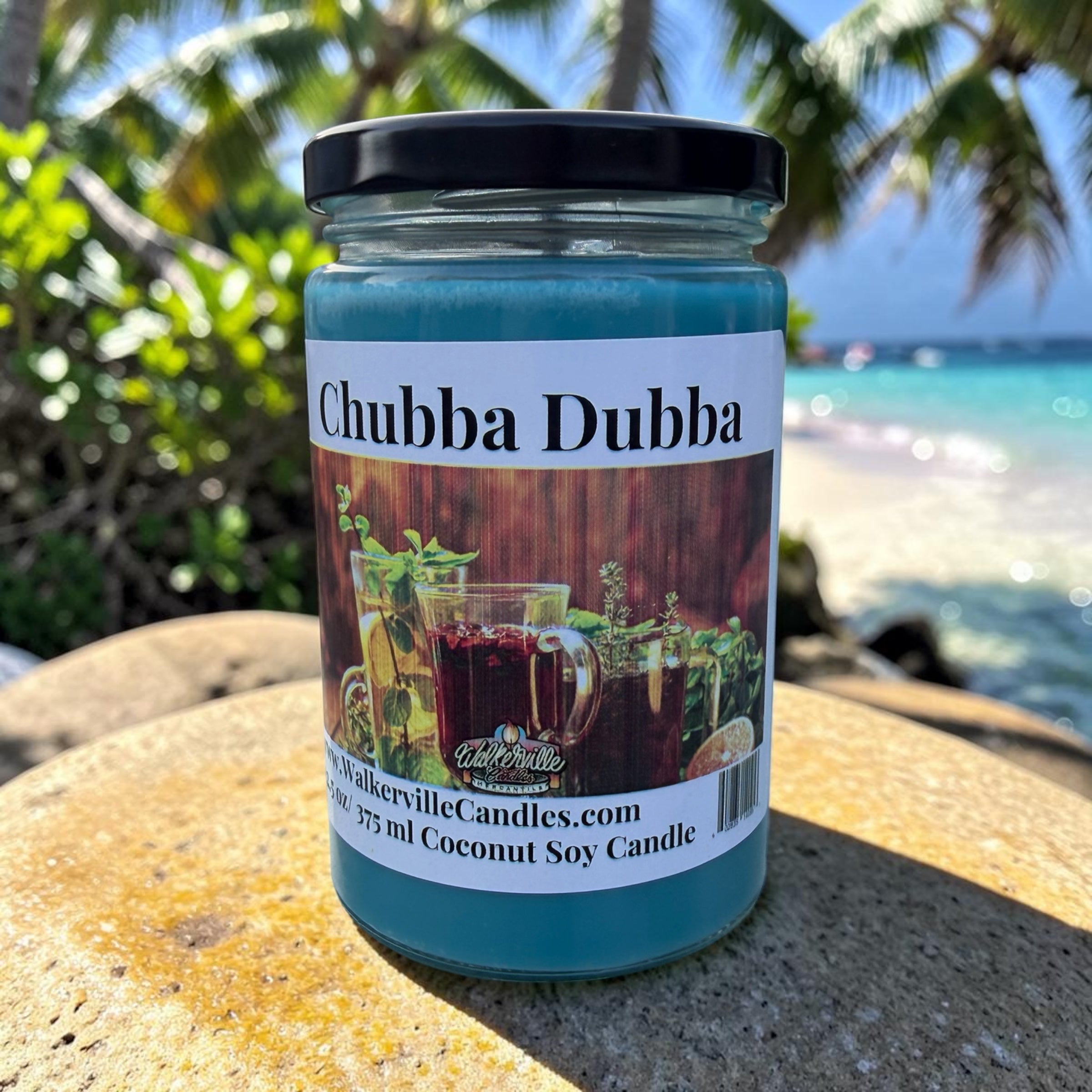 Chubba Dubba Coconut Soy 12.5 oz/ 375 ml Candle