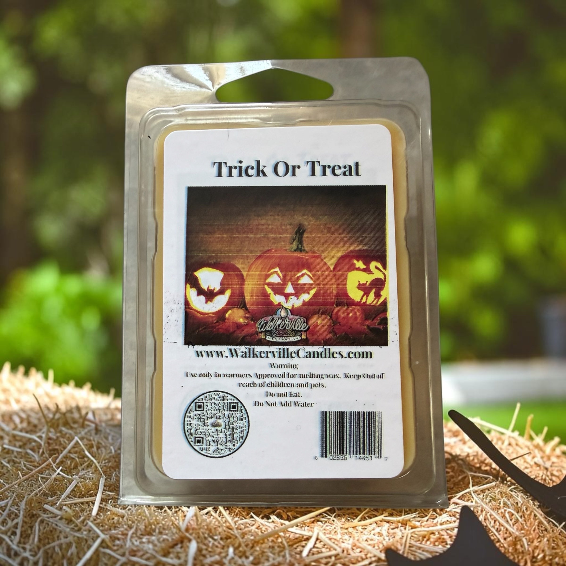 Trick Or Treat Wax Melt