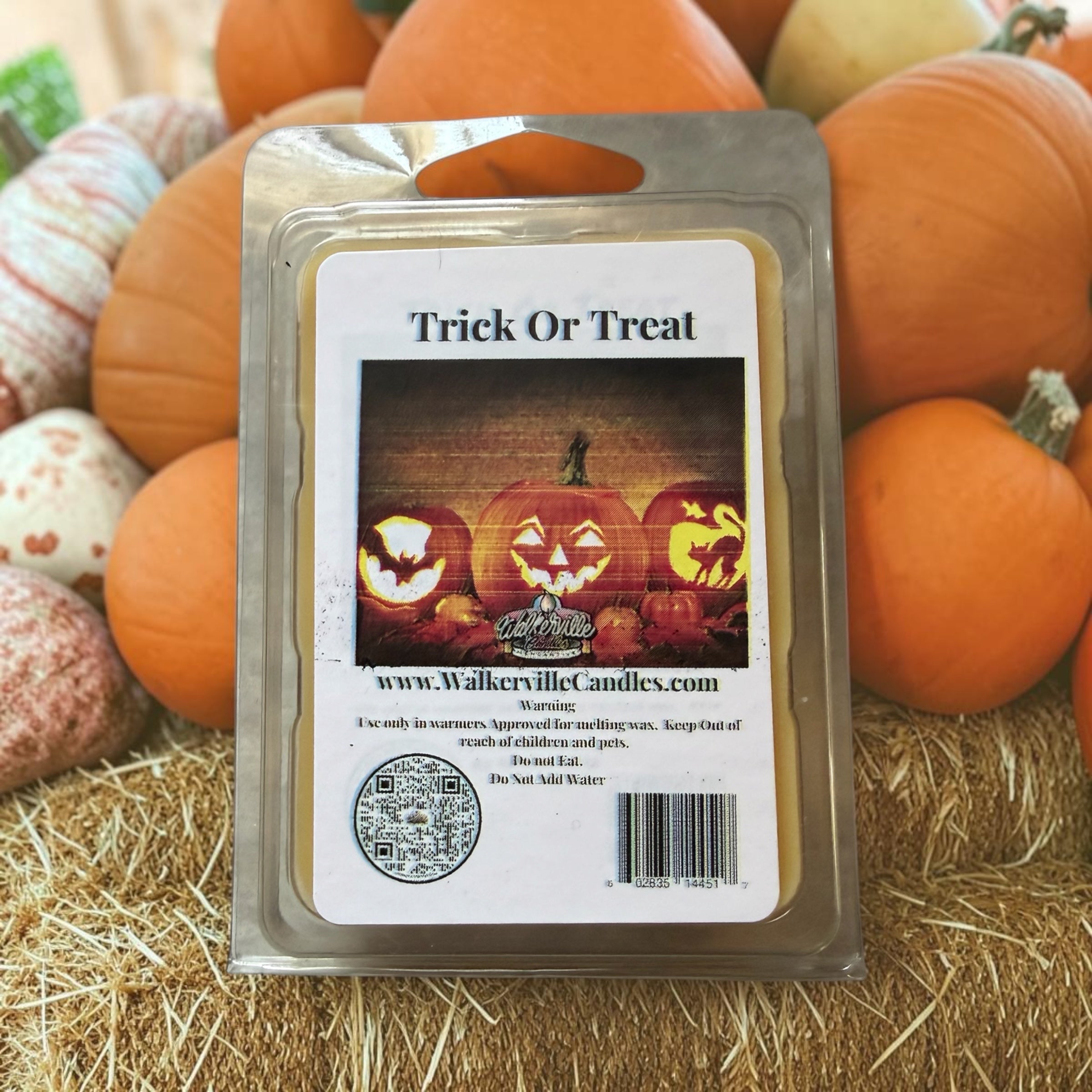 Trick Or Treat Wax Melt