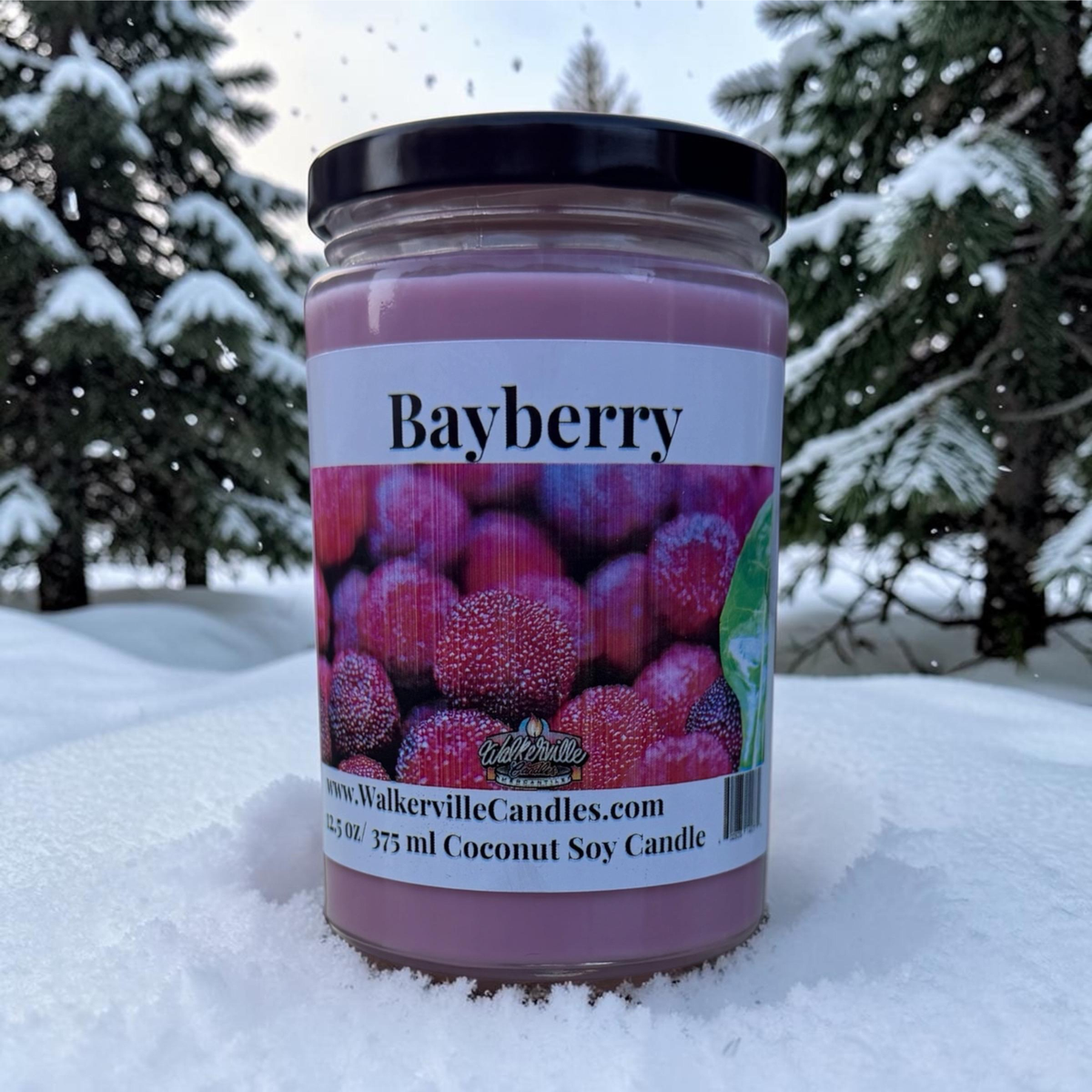 Bayberry Coconut Soy 12.5 oz/ 375 ml Candle