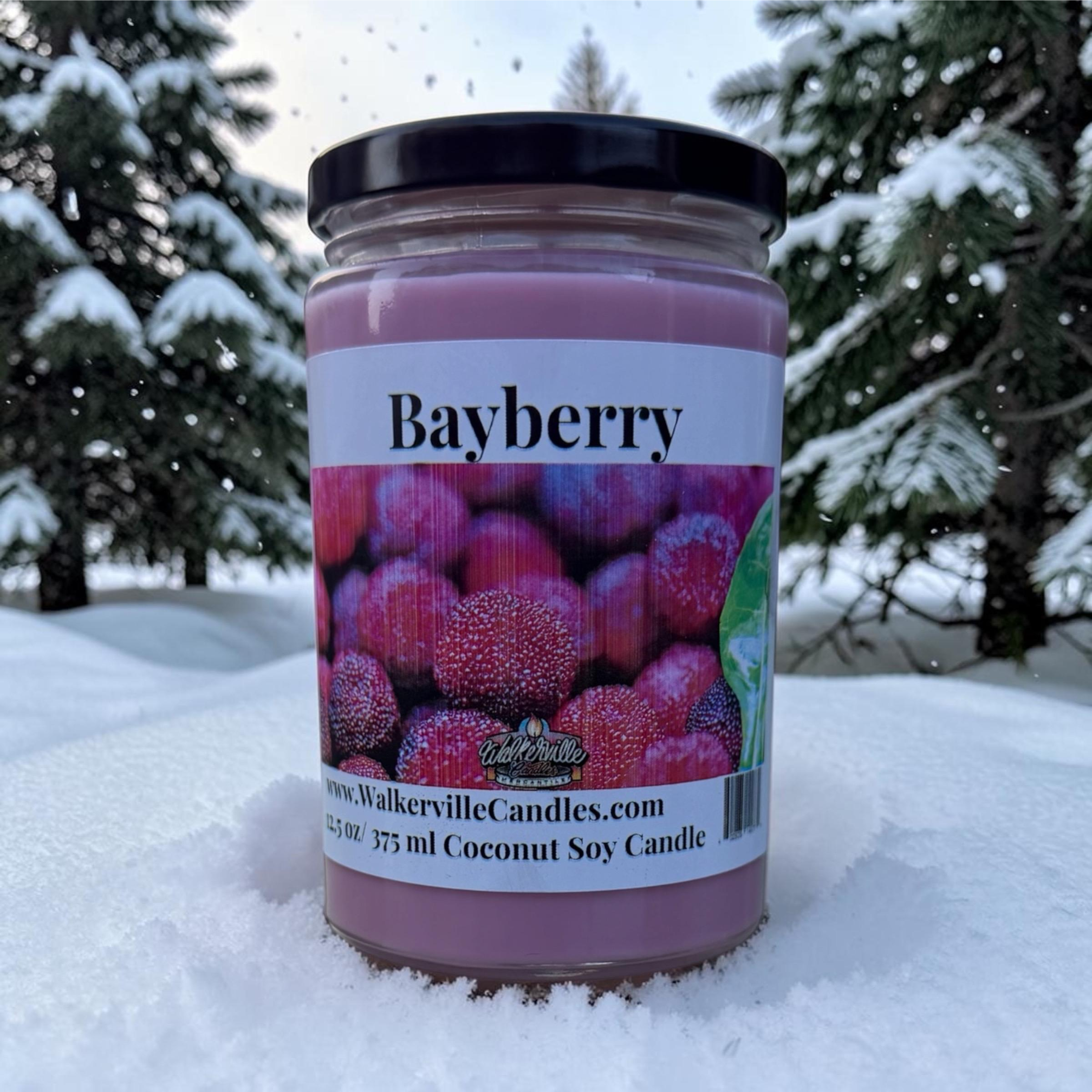 Bayberry Coconut Soy 12.5 oz/ 375 ml Candle Wood Wick