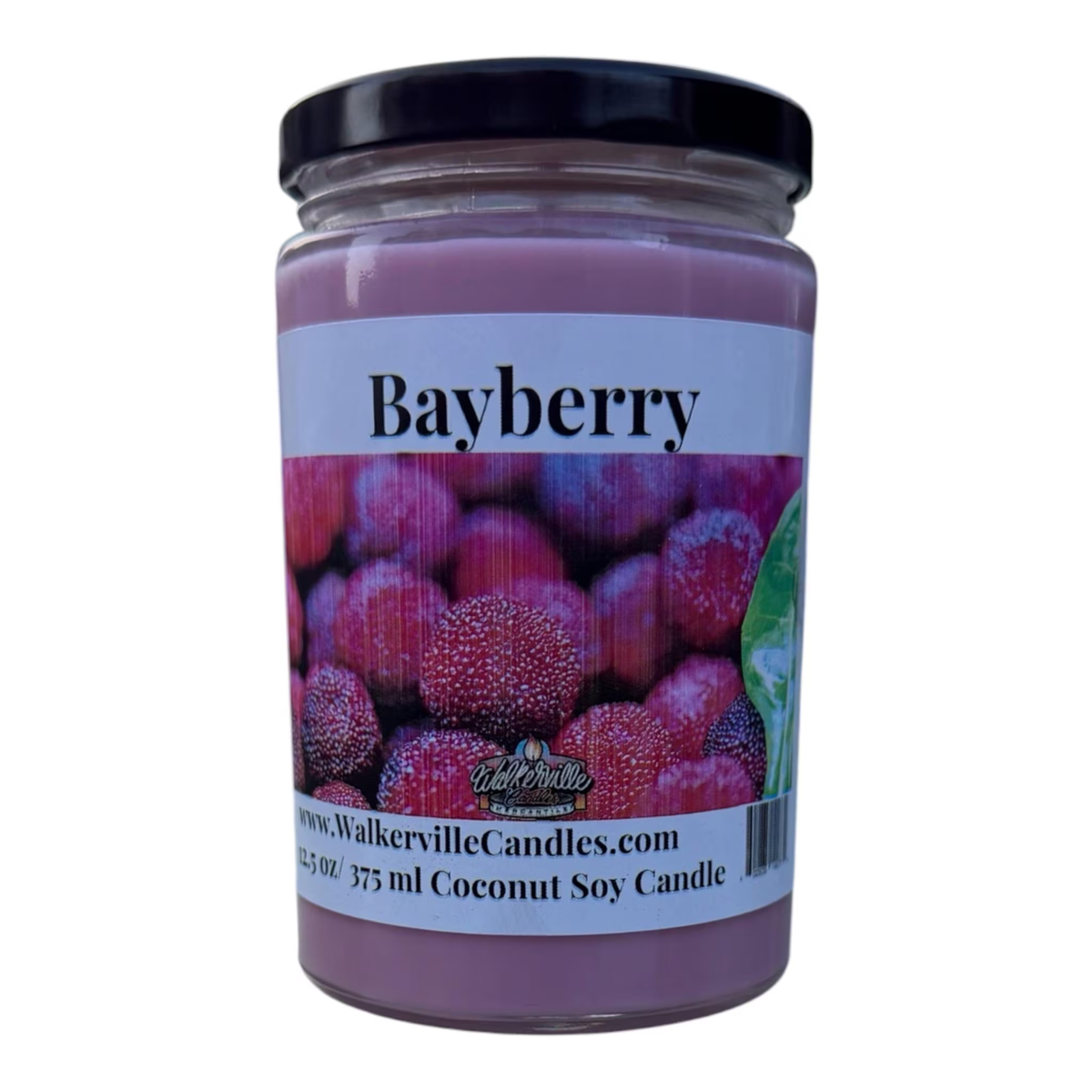 Bayberry Coconut Soy 12.5 oz/ 375 ml Candle