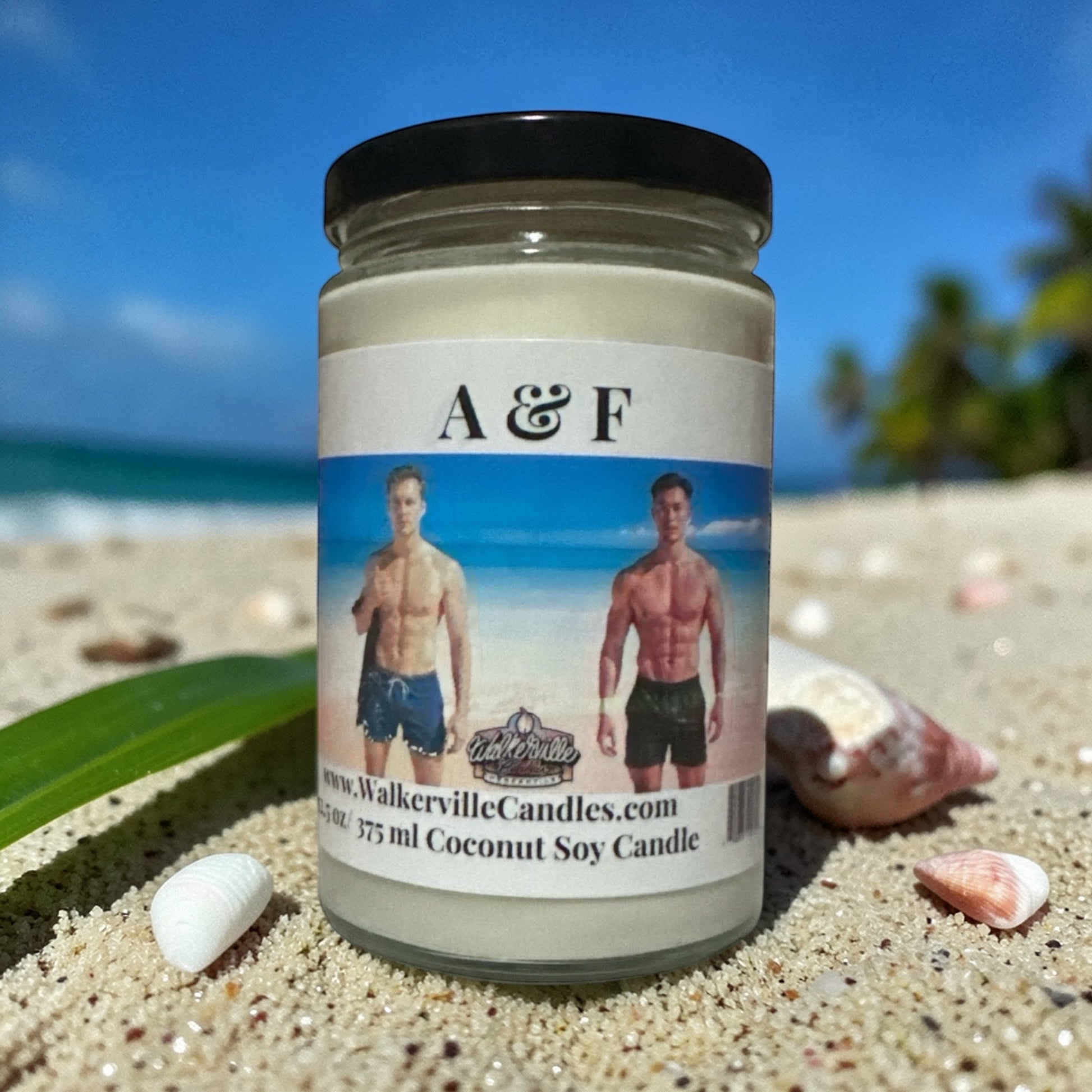 A & F Coconut Soy 12.5 oz/ 375 ml Candle Wood Wick - Walkerville Candles
