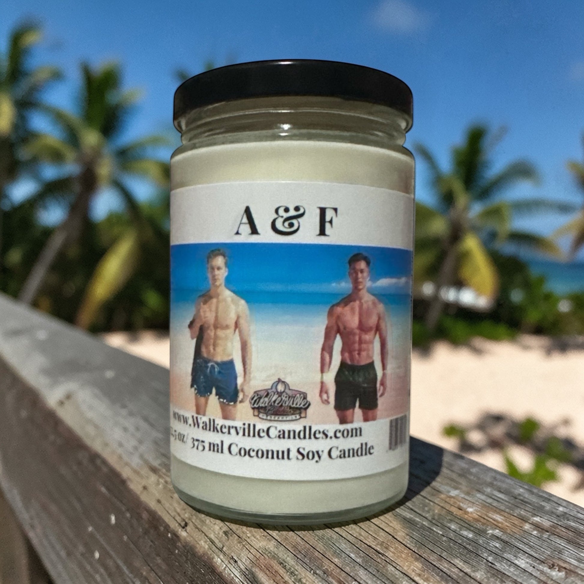 A & F Coconut Soy 12.5 oz/ 375 ml Candle Wood Wick - Walkerville Candles