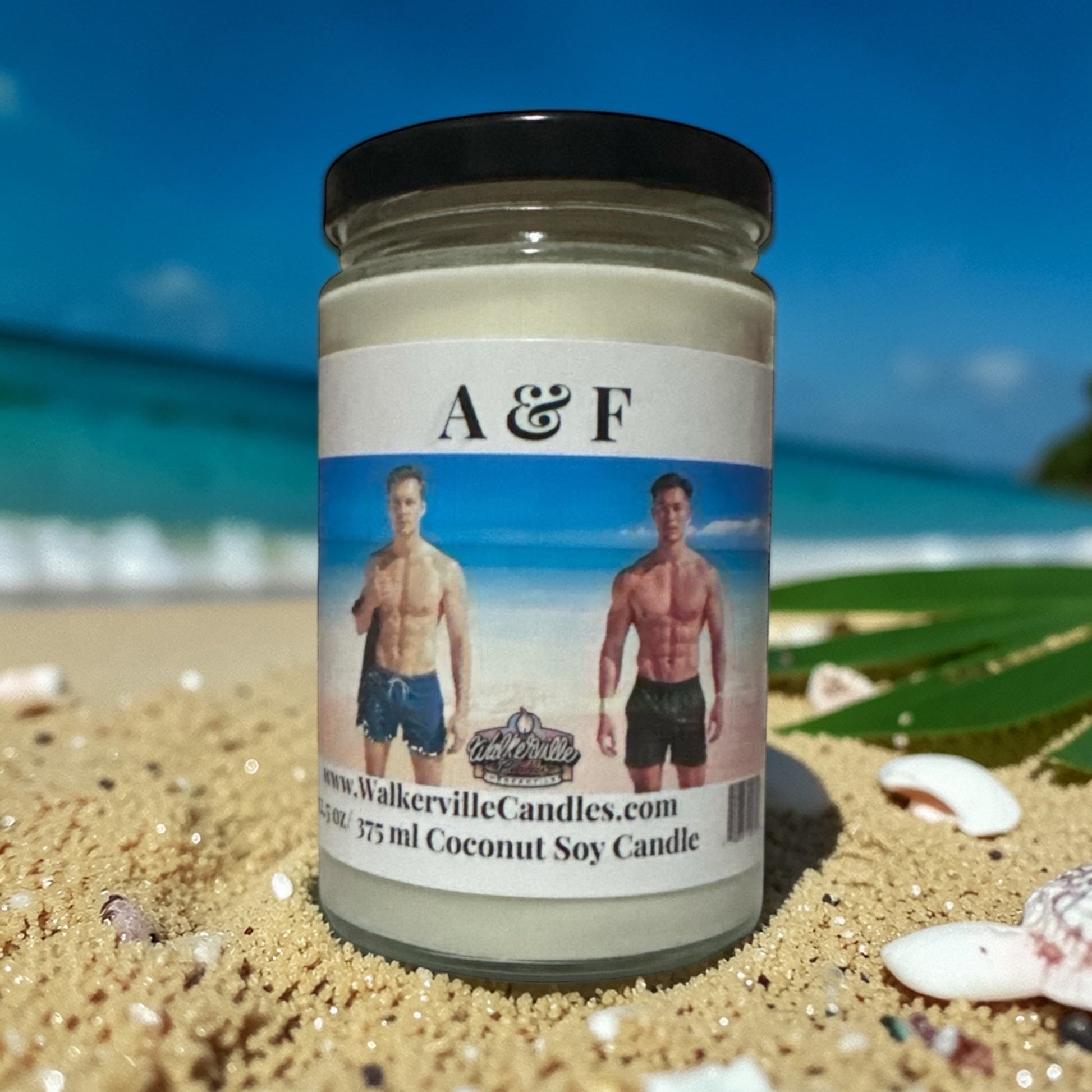 A & F Coconut Soy 12.5 oz/ 375 ml Candle Wood Wick - Walkerville Candles