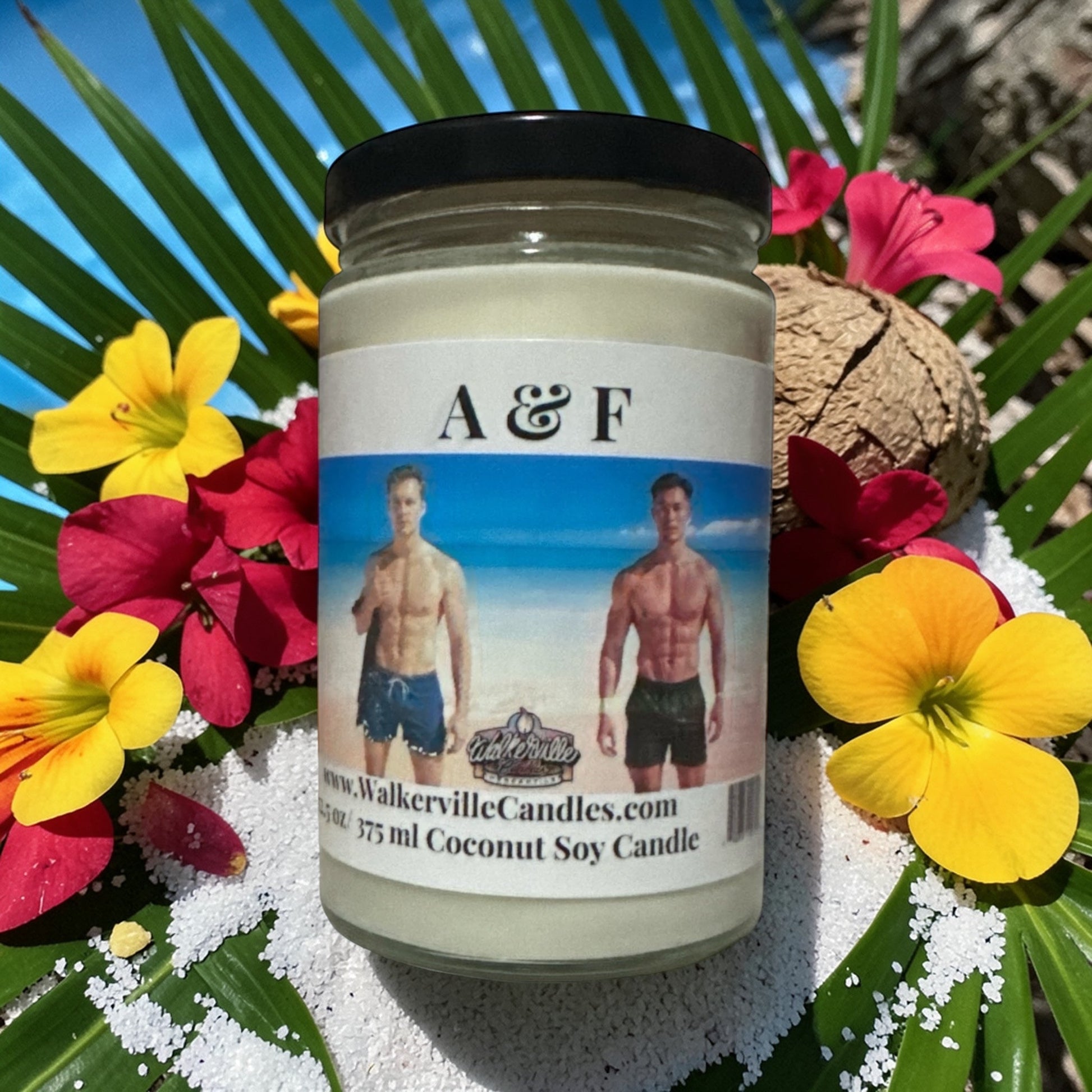 A & F Coconut Soy 12.5 oz/ 375 ml Candle Wood Wick - Walkerville Candles