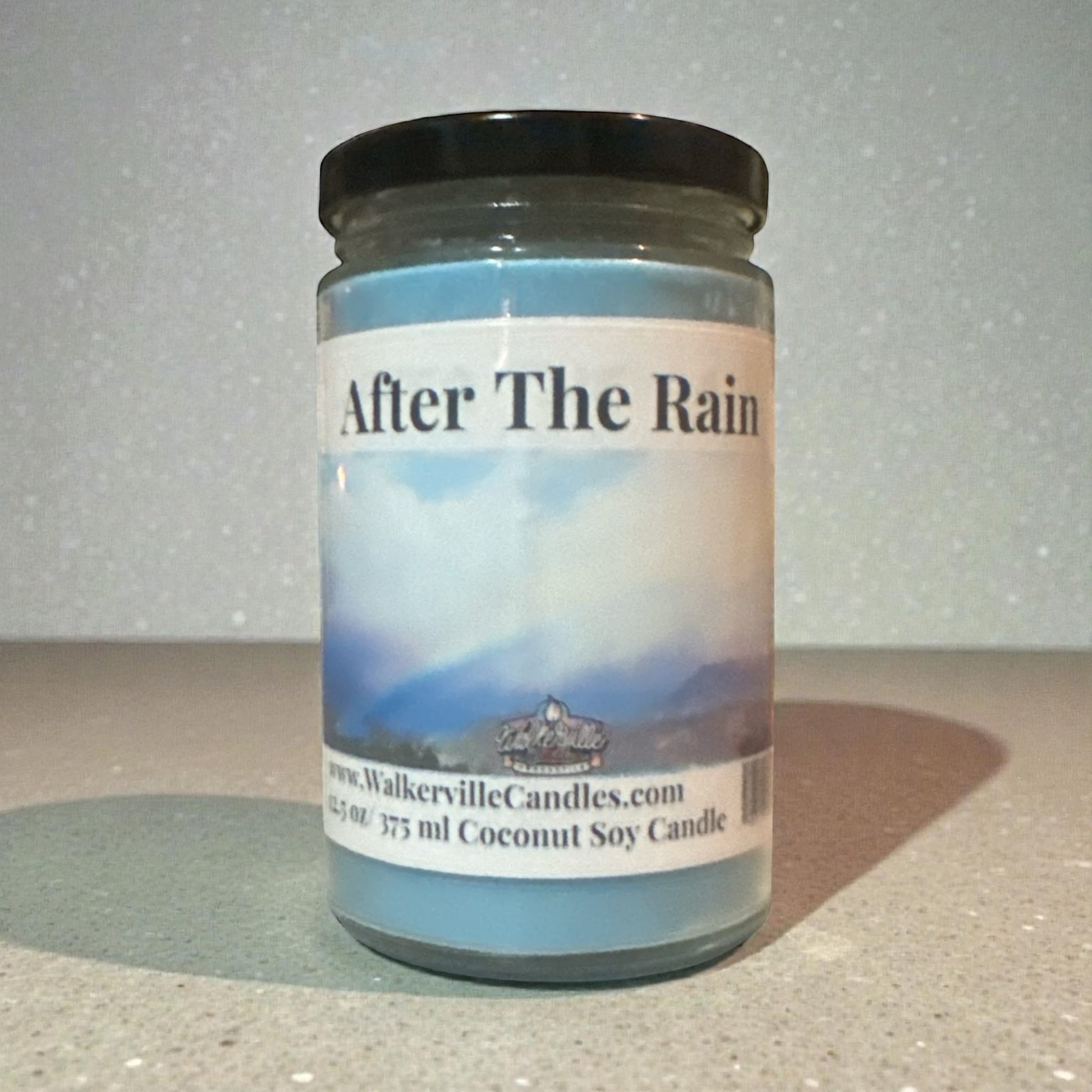 After The Rain Coconut Soy 12.5 oz/ 375 ml Candle Wood Wick - Walkerville Candles