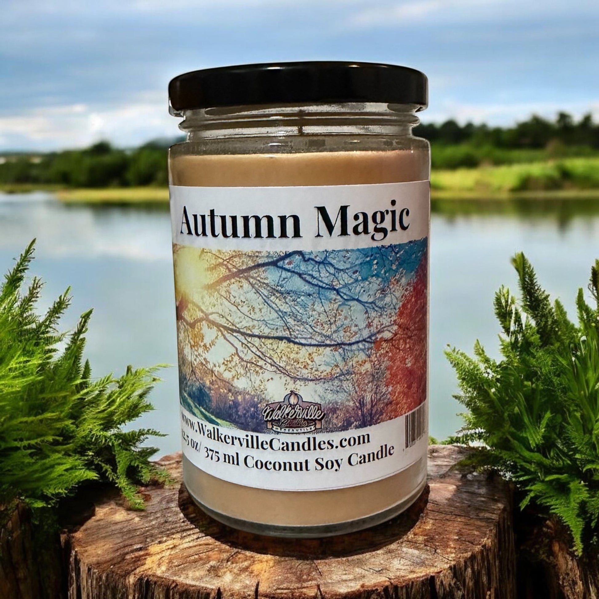 Autumn Magic Coconut Soy 12.5 oz/ 375 ml Candle Wood Wick - Walkerville Candles