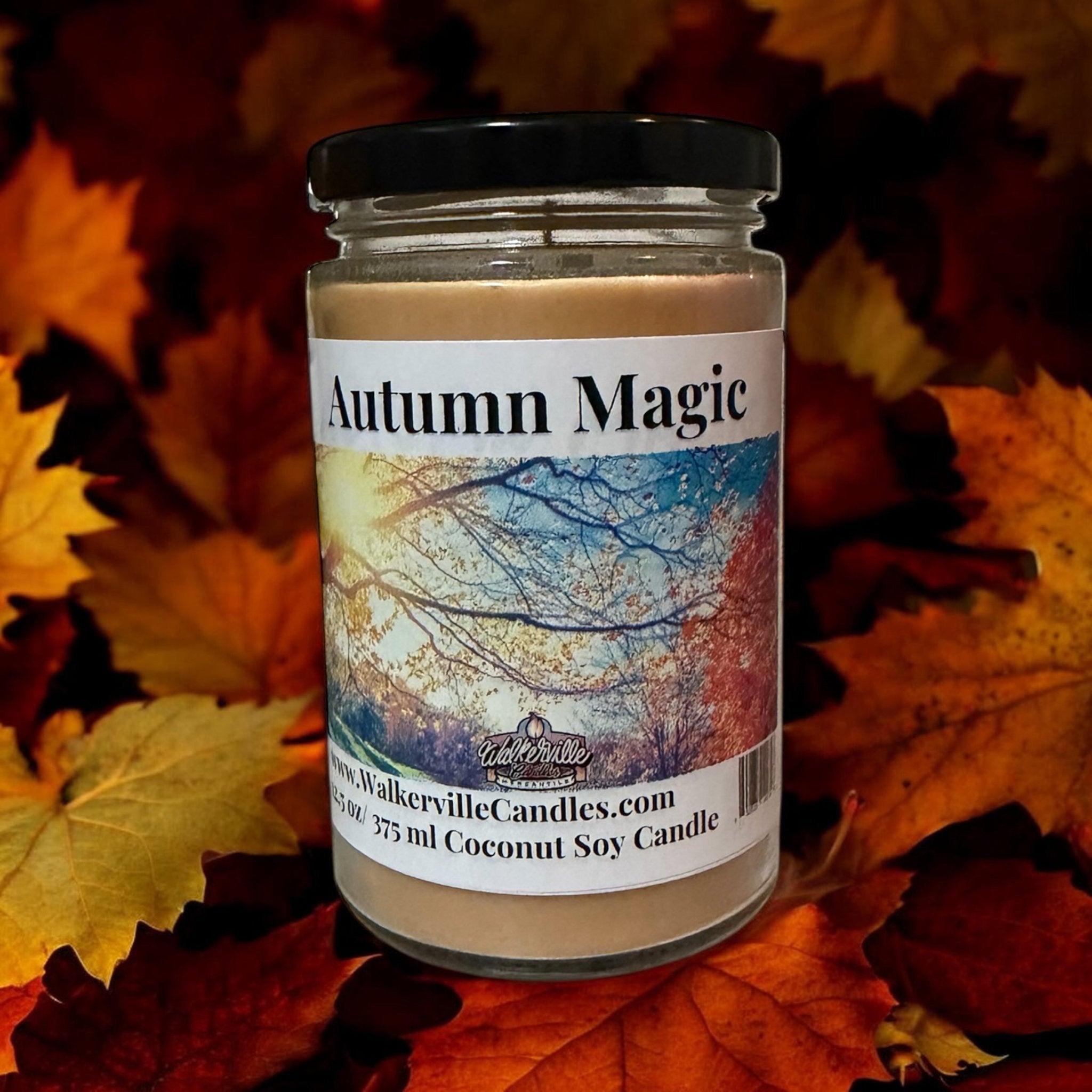 Autumn Magic Coconut Soy 12.5 oz/ 375 ml Candle Wood Wick - Walkerville Candles