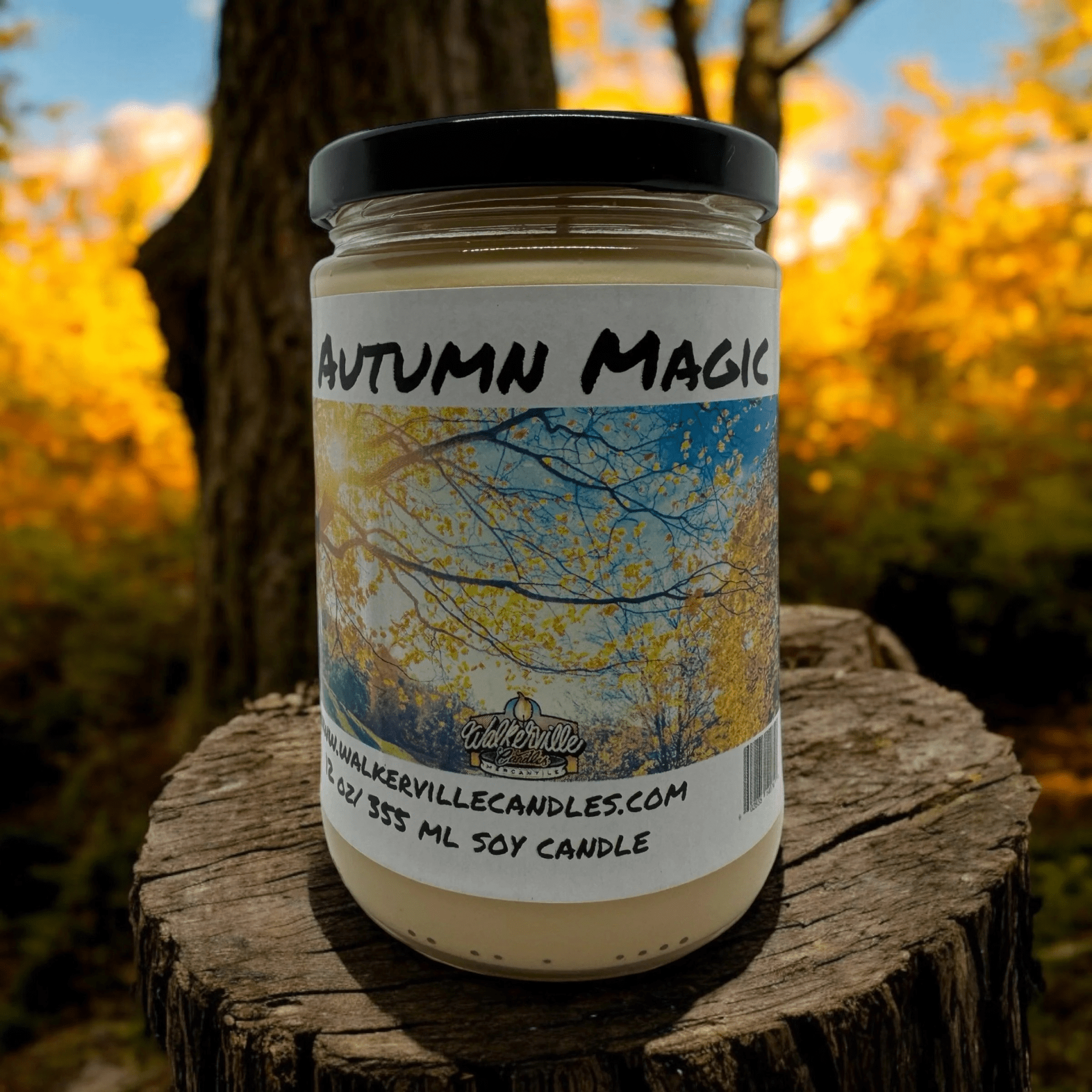 Autumn Magic Coconut Soy 12.5 oz/ 375 ml Candle Wood Wick - Walkerville Candles