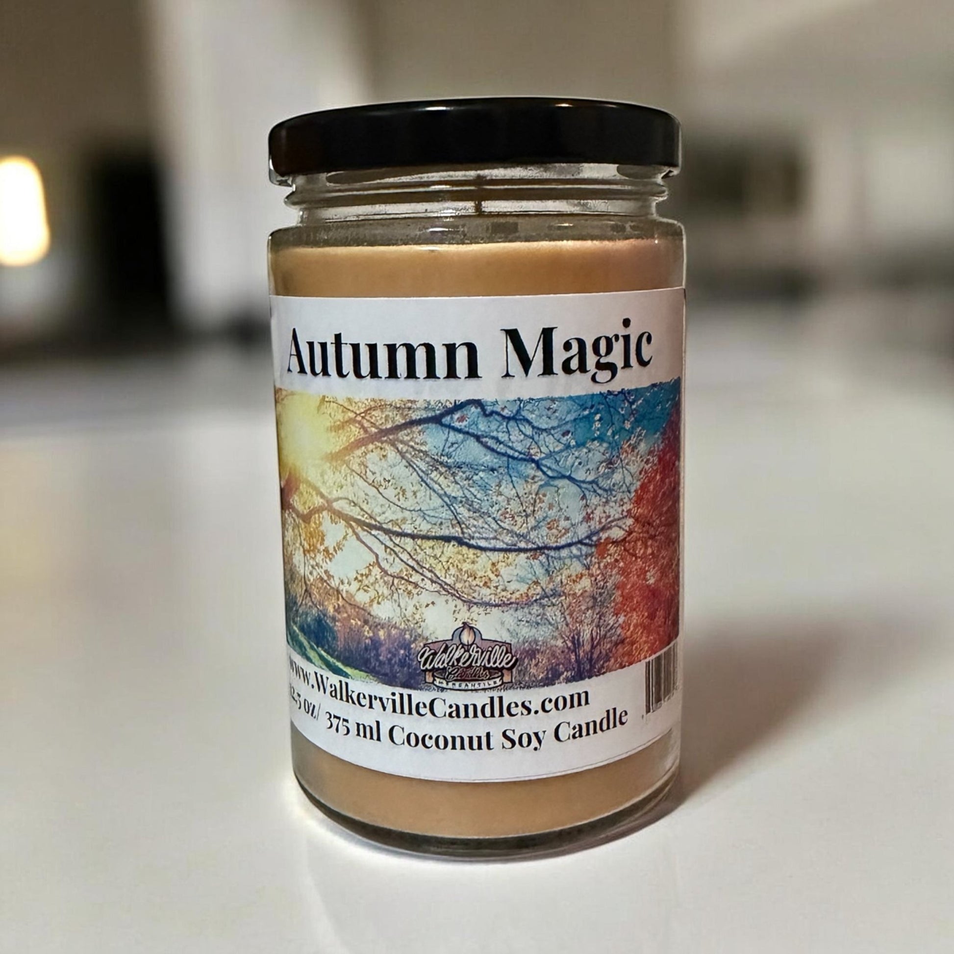 Autumn Magic Coconut Soy 12.5 oz/ 375 ml Candle Wood Wick - Walkerville Candles