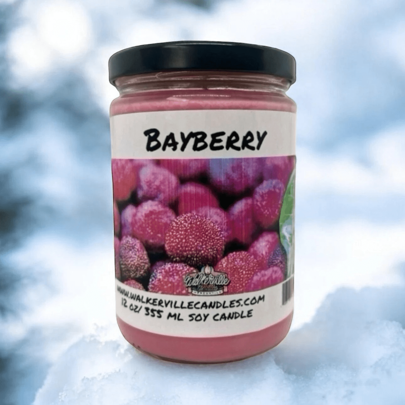 Bayberry Coconut Soy 12.5 oz/ 375 ml Candle Wood Wick - Walkerville Candles