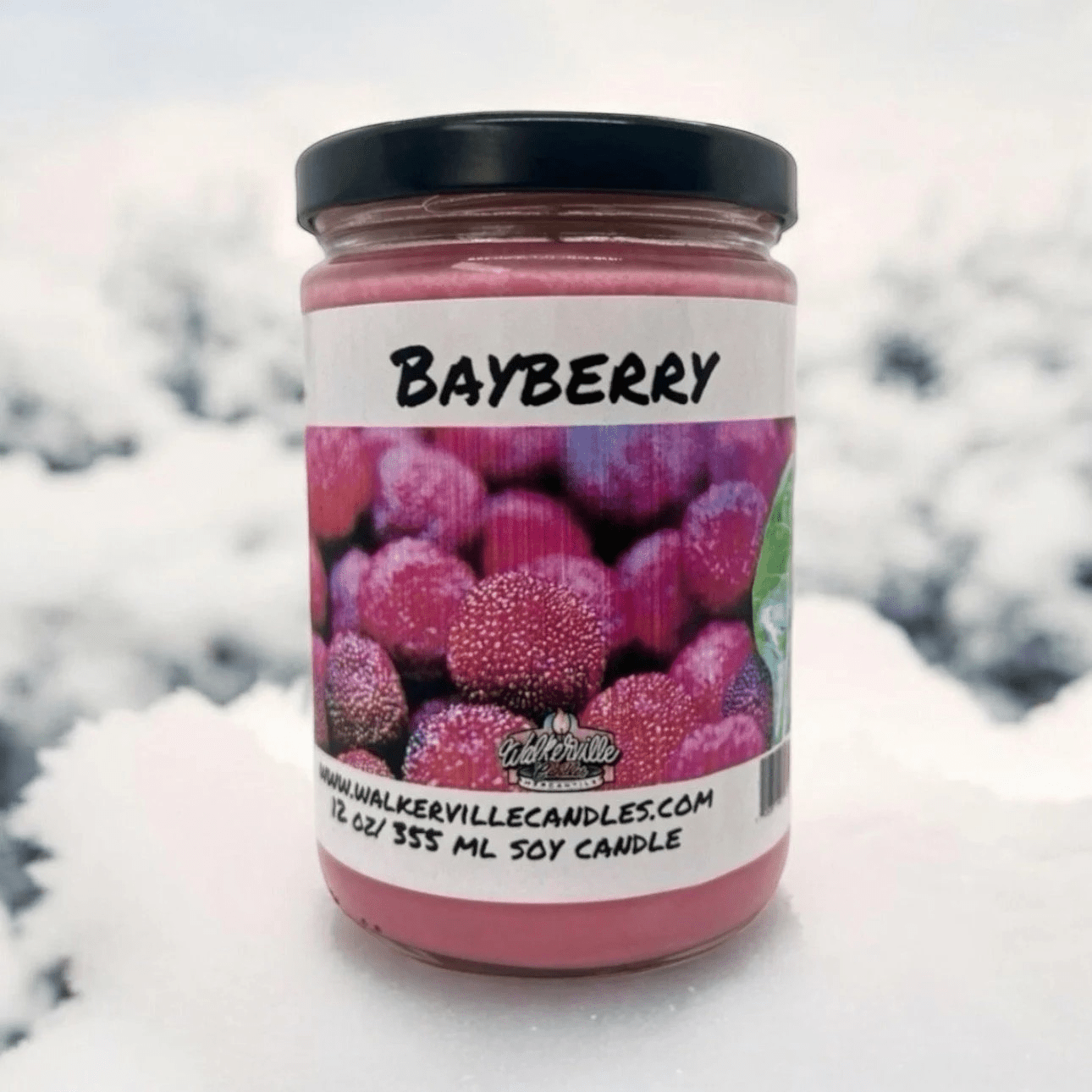 Bayberry Coconut Soy 12.5 oz/ 375 ml Candle Wood Wick - Walkerville Candles