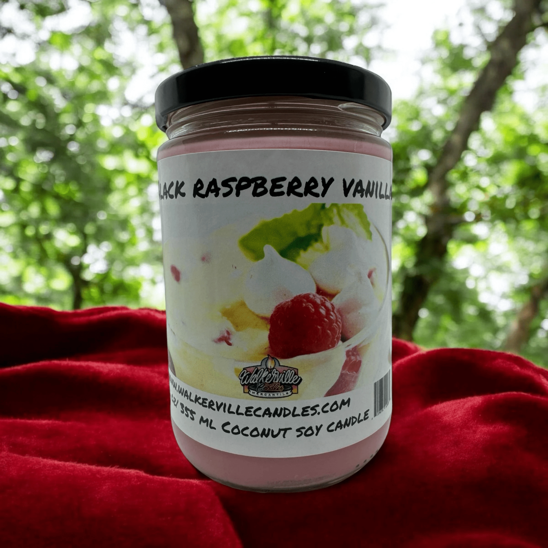 Black Raspberry Vanilla Coconut Soy 12.5 oz/ 375 ml Candle Wood Wick - Walkerville Candles