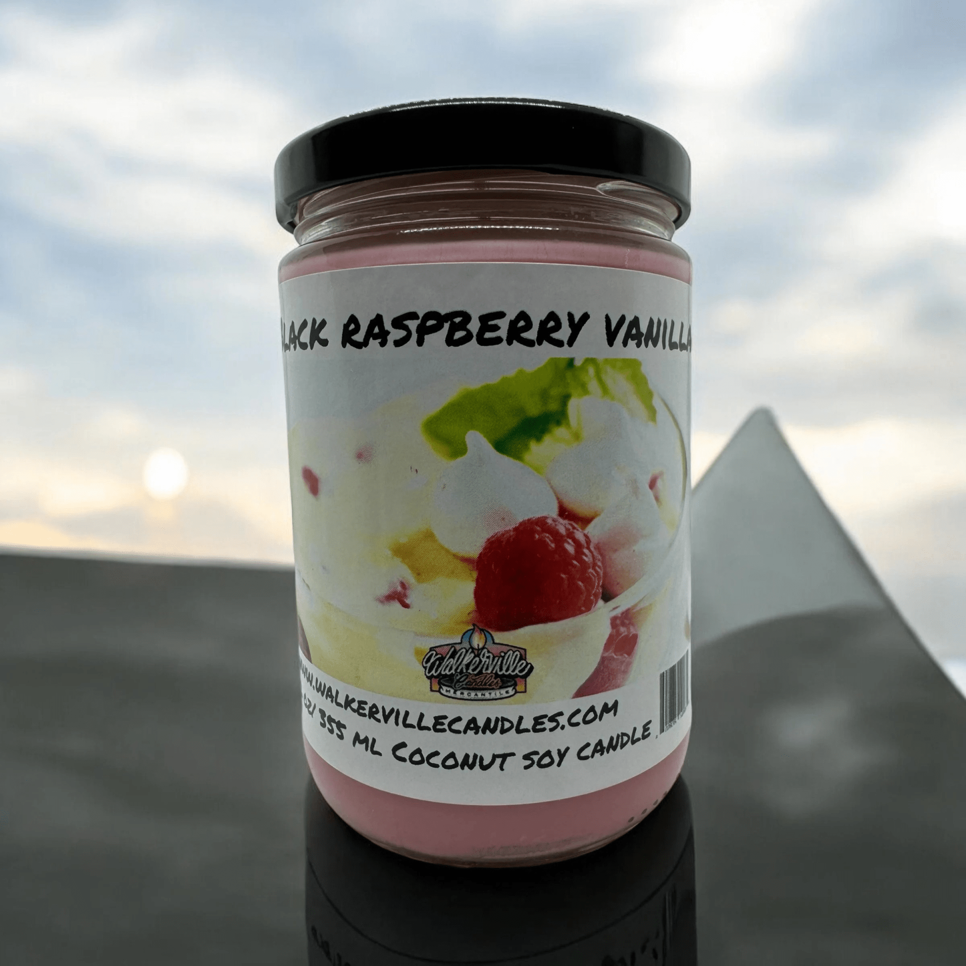 Black Raspberry Vanilla Coconut Soy 12.5 oz/ 375 ml Candle Wood Wick - Walkerville Candles