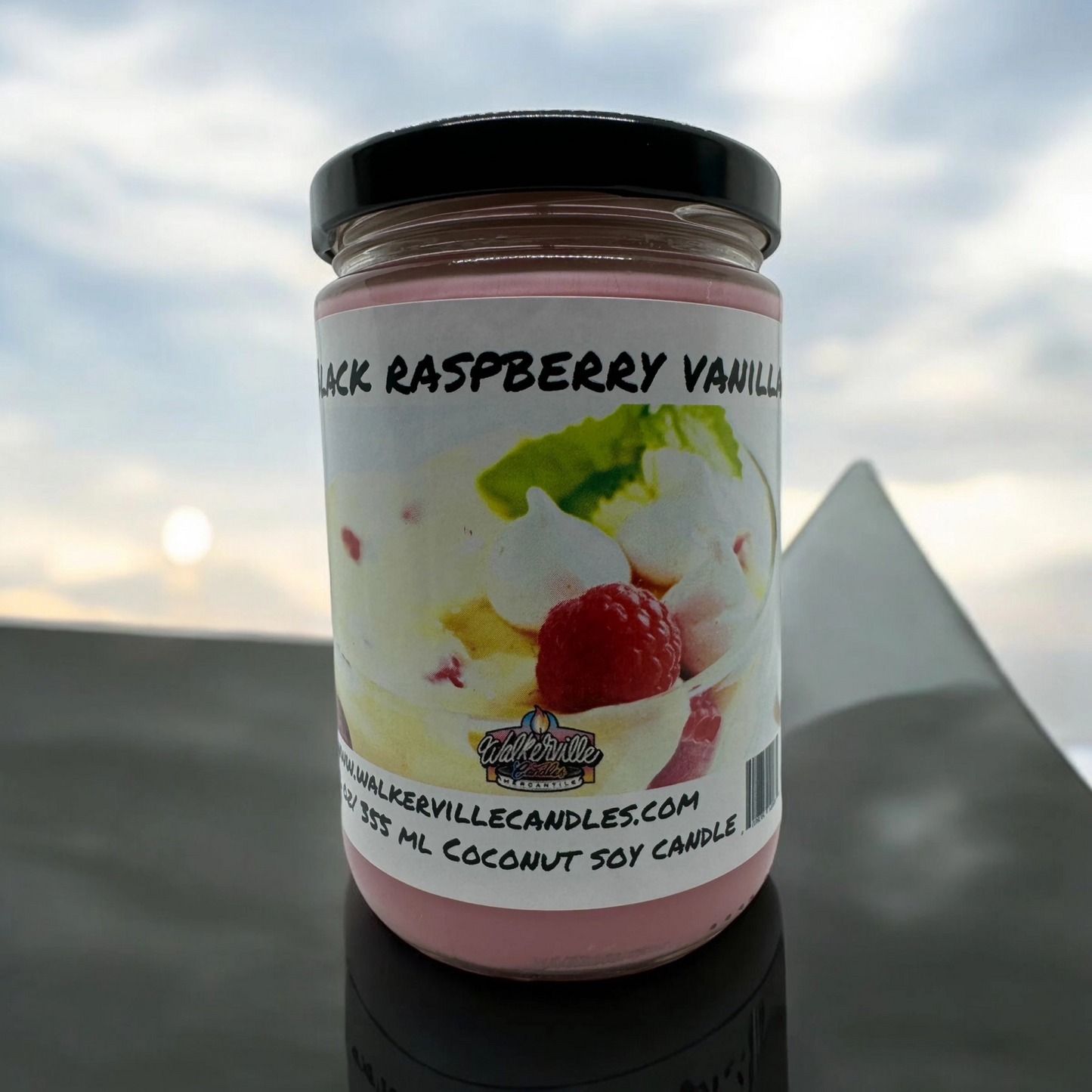 Black Raspberry Vanilla Coconut Soy Eco-friendly 12 oz Candle