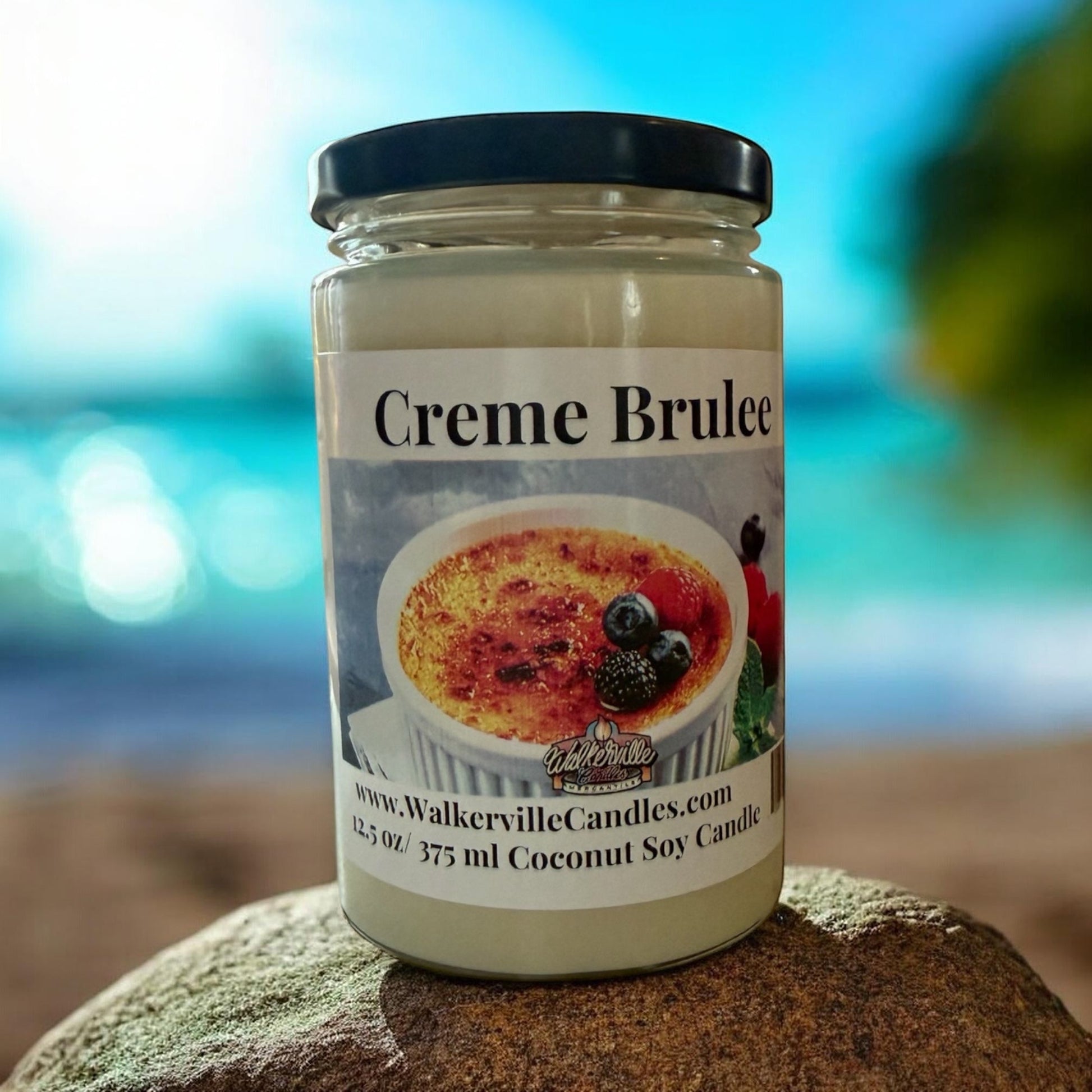 Crème Brulée Coconut Soy 12.5 oz/ 375 ml Candle Wood Wick - Walkerville Candles