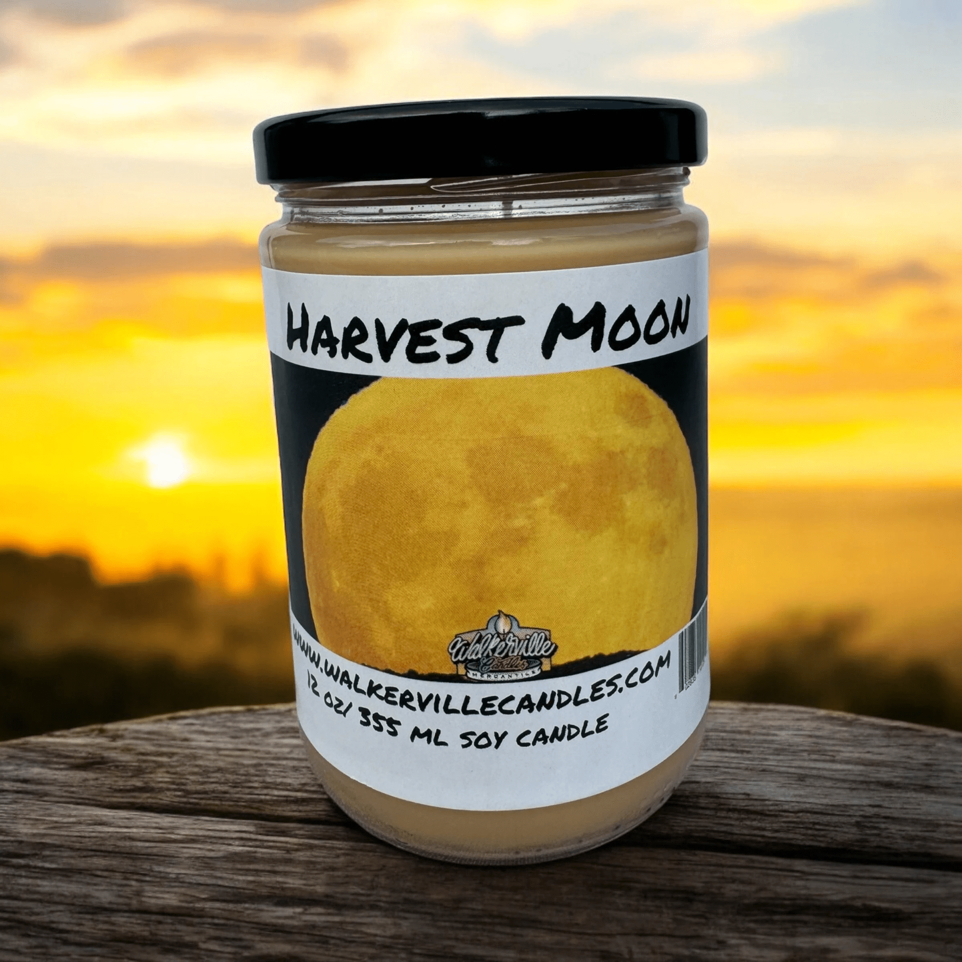 Harvest Moon Coconut Soy 12.5 oz/ 375 ml Candle Wood Wick - Walkerville Candles