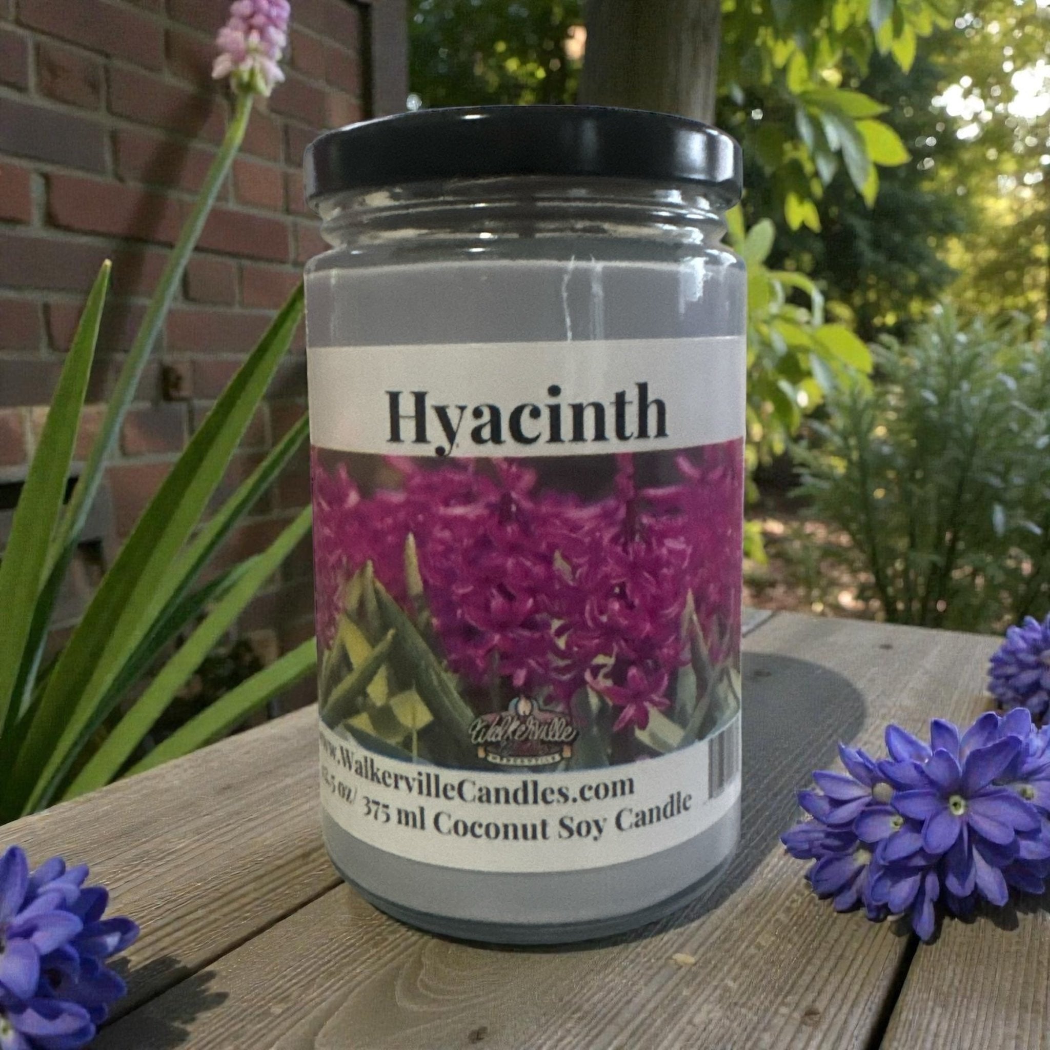 Hyacinth Coconut Soy 12.5 oz/ 375 ml Candle Wood Wick - Walkerville Candles