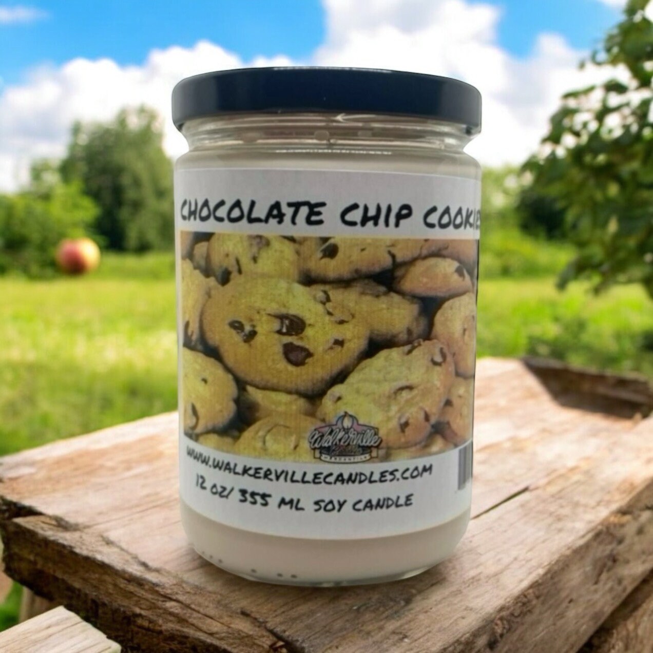 Chocolate Chip Cookie Vegan Coconut Soy 12 oz/ 355 ml Candle Hand-poured, Eco-friendly, Clean Burning, Bakery, Food, Drink