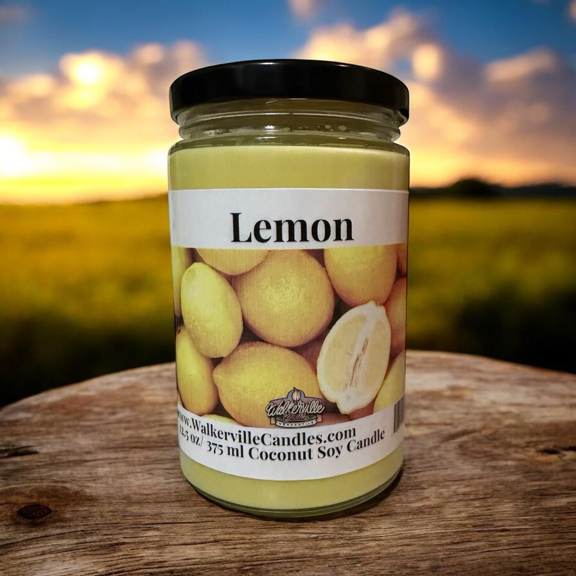 Lemon Coconut Soy 12.5 oz/ 375 ml Candle Wood Wick - Walkerville Candles