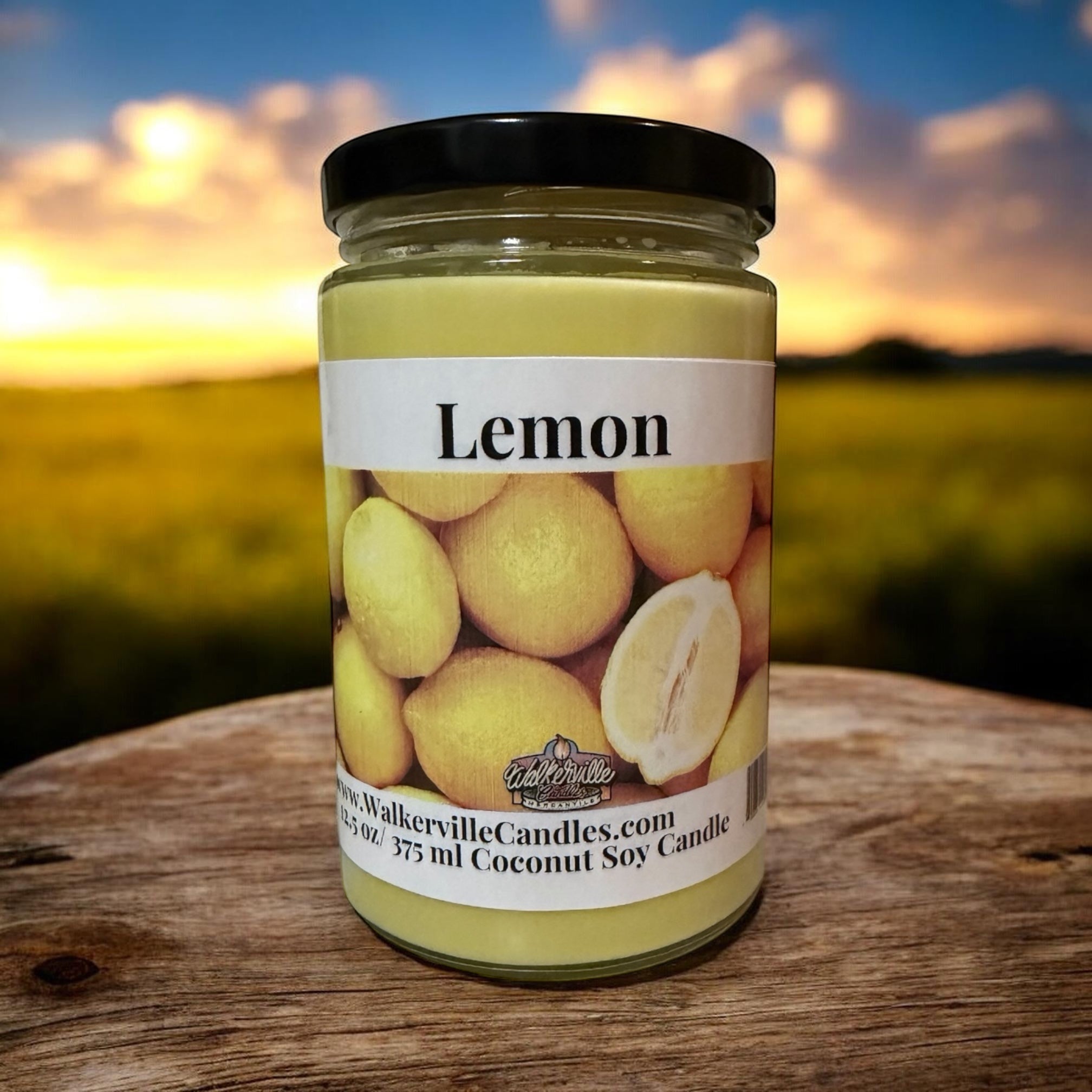 Lemon Coconut Soy 12.5 oz/ 375 ml Candle Wood Wick - Walkerville Candles
