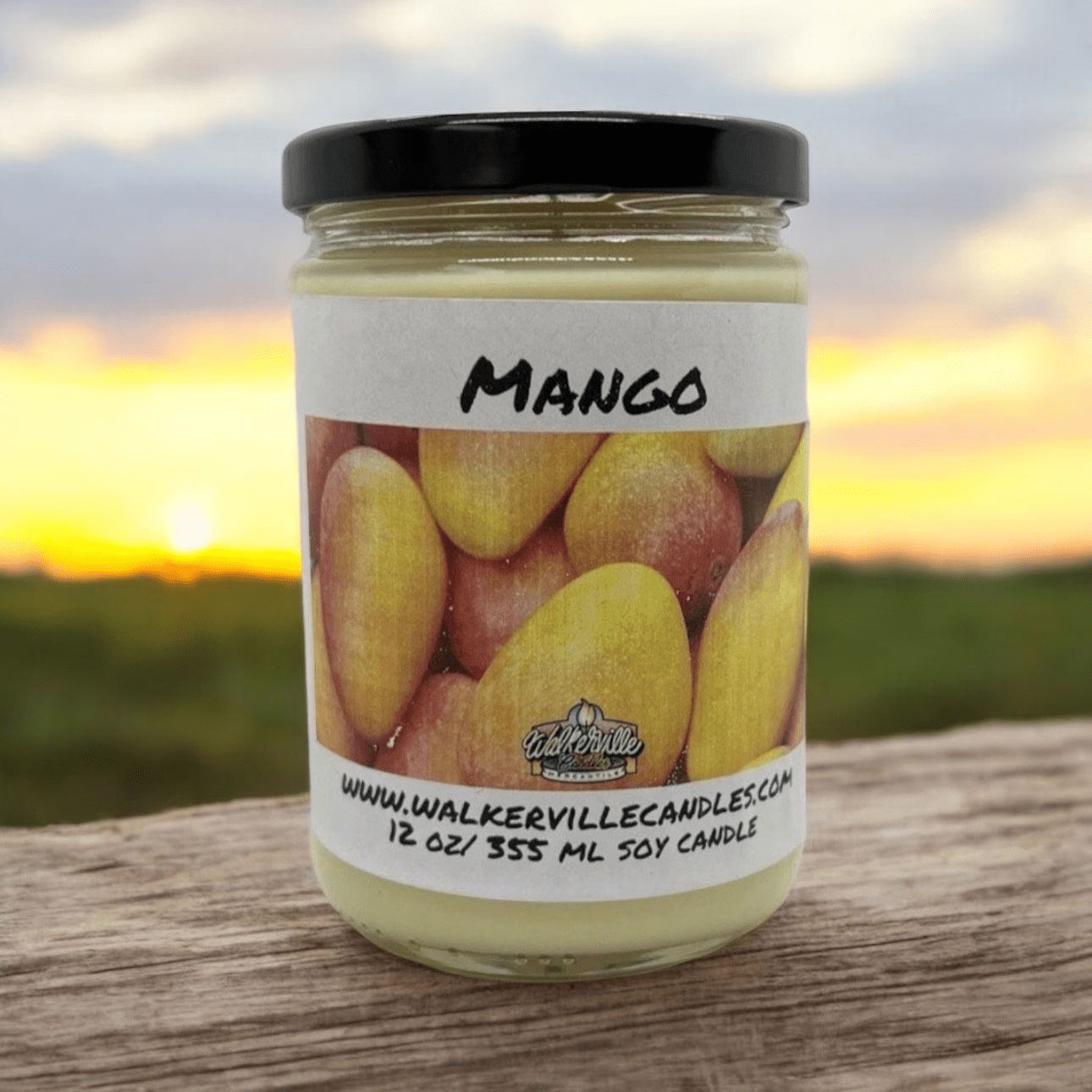 Mango Coconut Soy 12.5 oz/ 375 ml Candle Wood Wick - Walkerville Candles