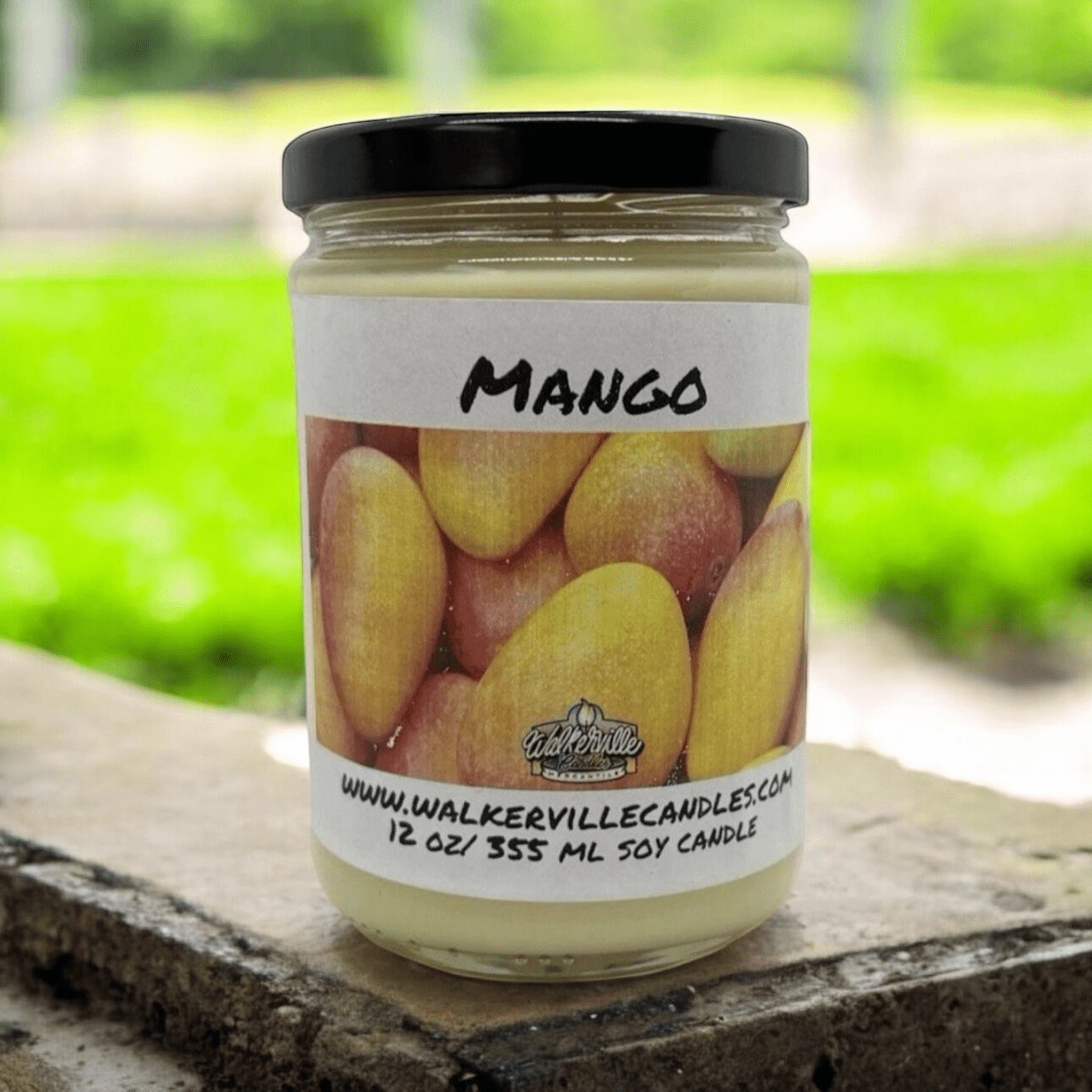 Mango Coconut Soy 12.5 oz/ 375 ml Candle Wood Wick - Walkerville Candles
