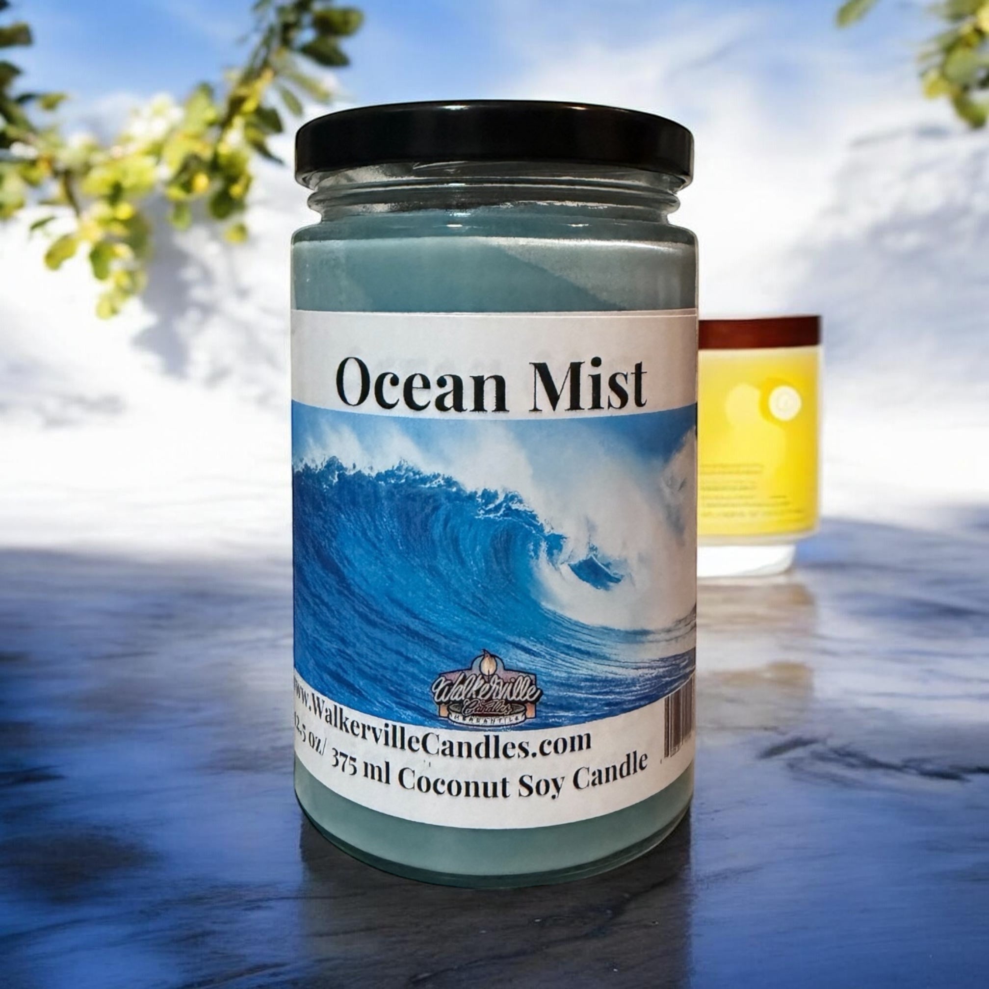 Ocean Mist Coconut Soy 12.5 oz/ 375 ml Candle Wood Wick - Walkerville Candles