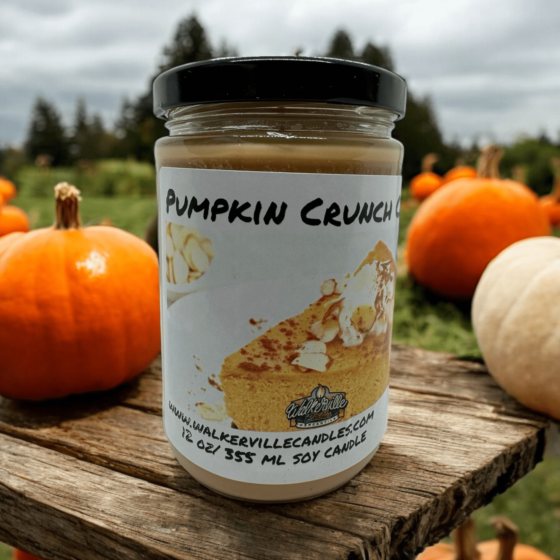 Pumpkin Crunch Cake Coconut Soy 12.5 oz/ 375 ml Candle Wood Wick - Walkerville Candles