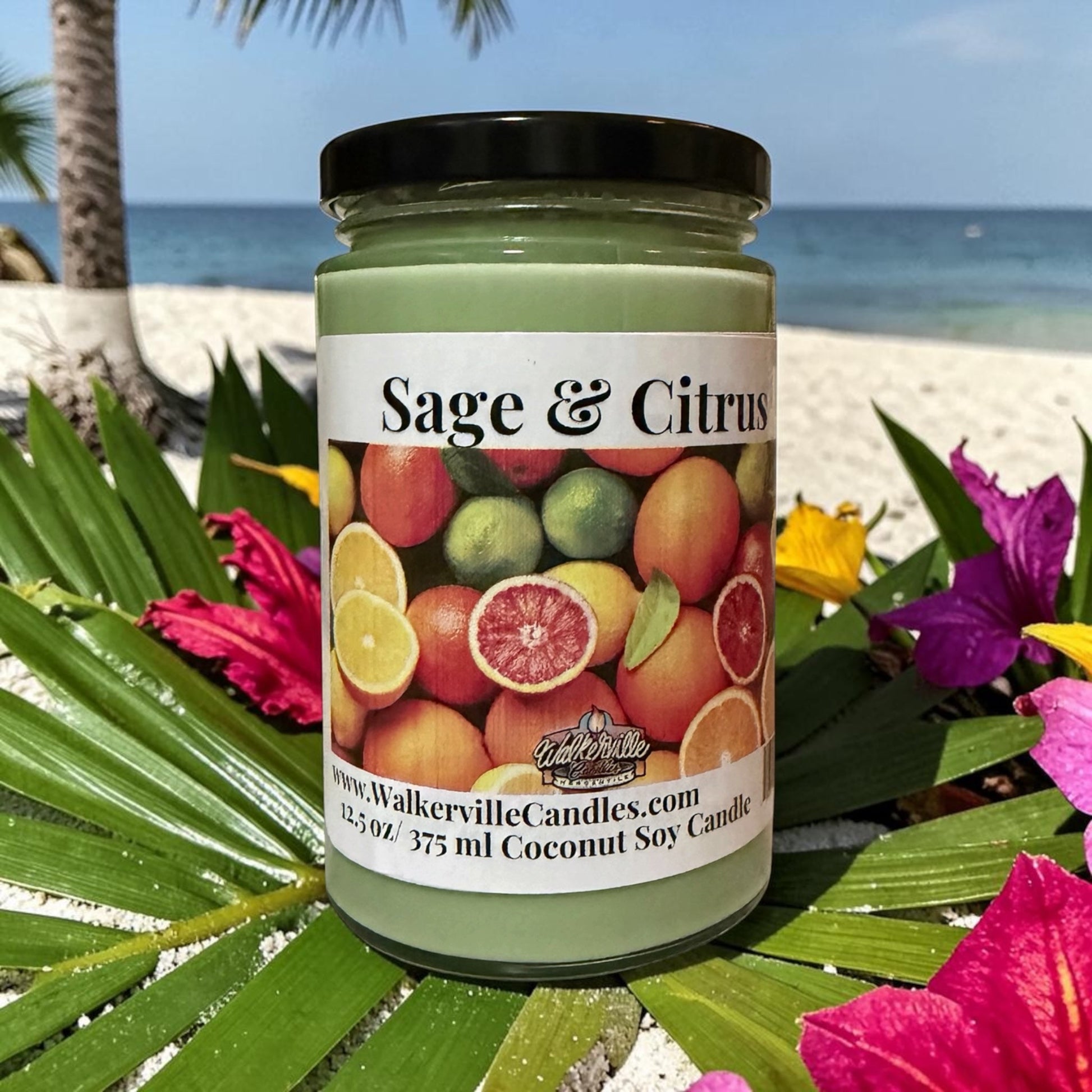 Sage & Citrus Coconut Soy 12.5 oz/ 375 ml Candle Wood Wick - Walkerville Candles
