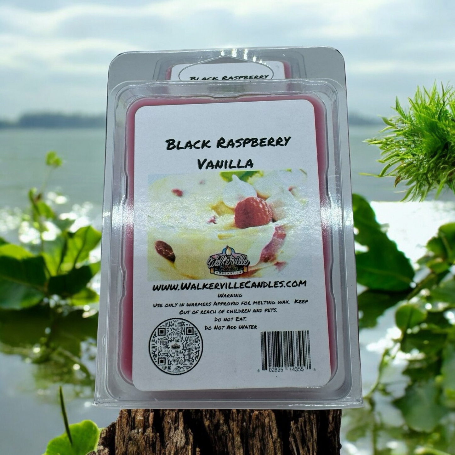 Black Raspberry Vanilla Scented Handmade, Eco-friendly Wax Melt