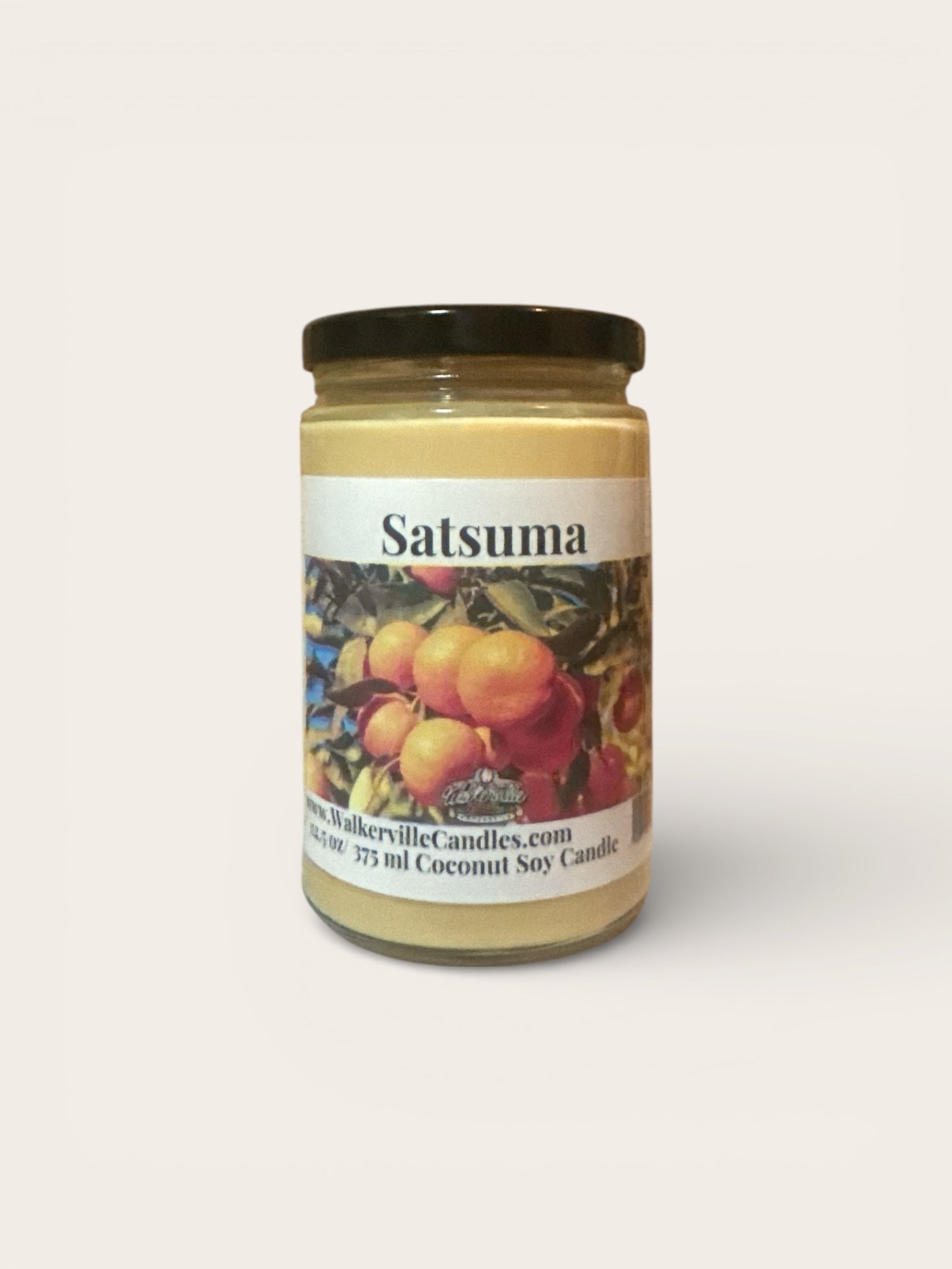 Satsuma Coconut Soy 12.5 oz/ 375 ml Candle Wood Wick - Walkerville Candles