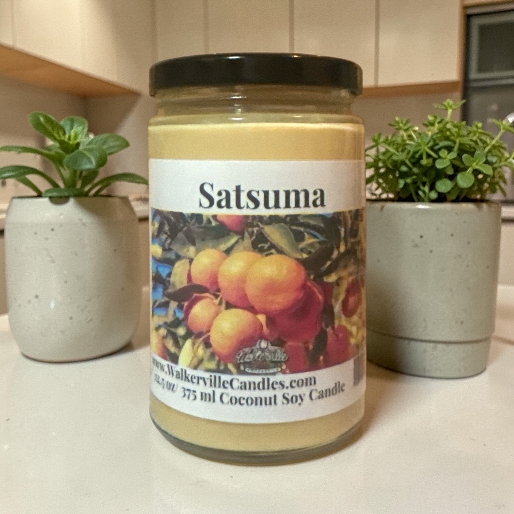 Satsuma Coconut Soy 12.5 oz/ 375 ml Candle Wood Wick - Walkerville Candles