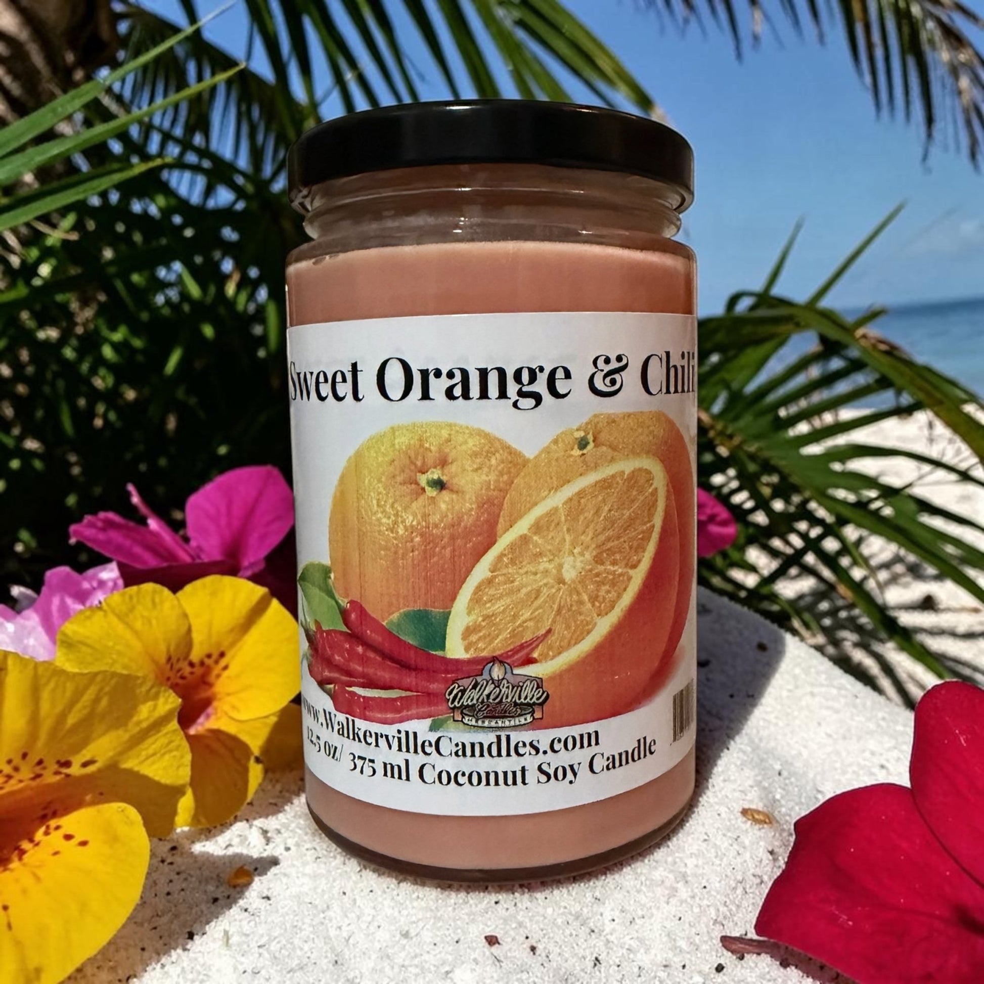 Sweet Orange & Chili Coconut Soy 12.5 oz/ 375 ml Candle Wood Wick - Walkerville Candles