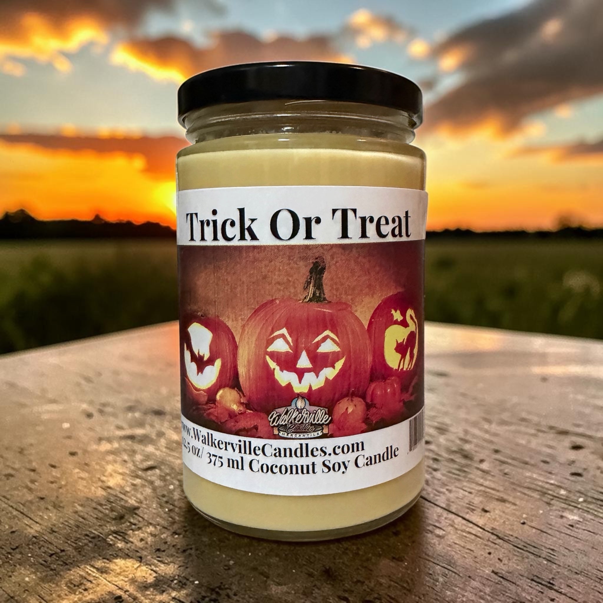 Trick Or Treat Coconut Soy 12.5 oz/ 375 ml Candle Wood Wick - Walkerville Candles