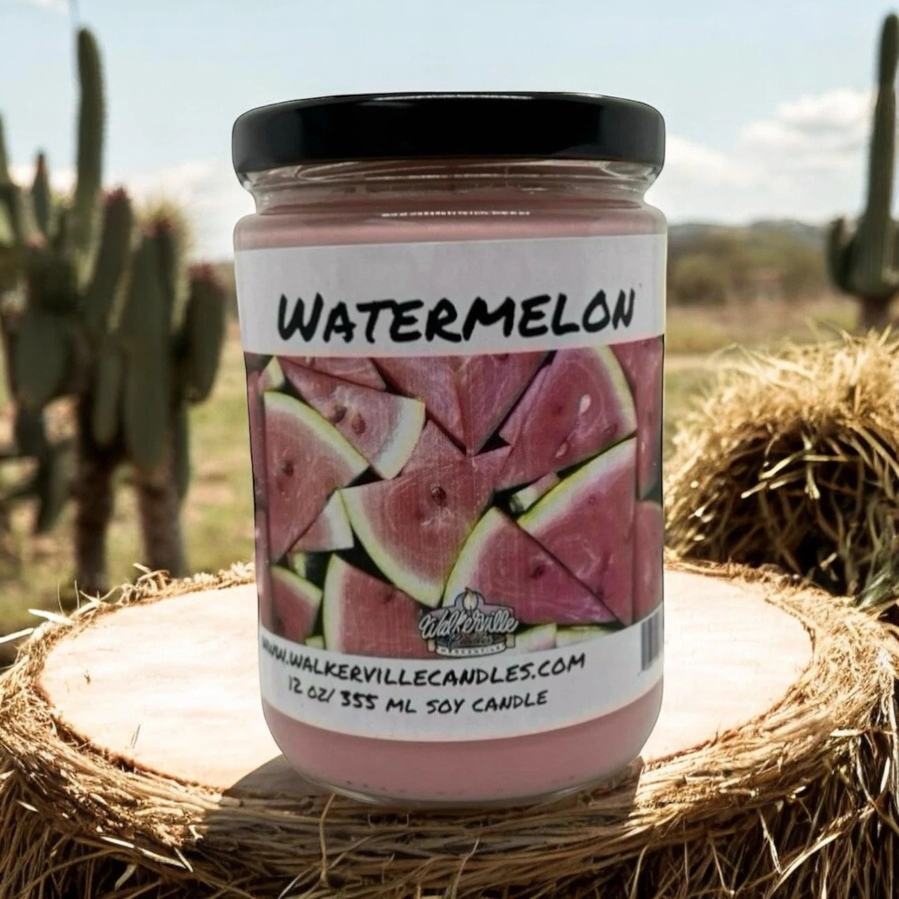 Watermelon 100% Coconut Soy Eco-friendly 12 oz Candle