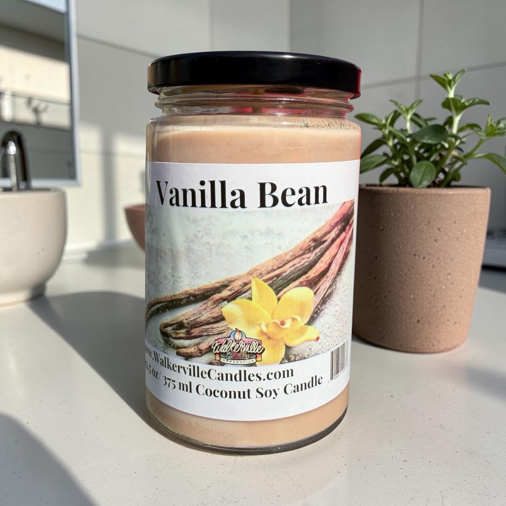 Vanilla Bean Coconut Soy 12.5 oz/ 375 ml Candle Wood Wick - Walkerville Candles