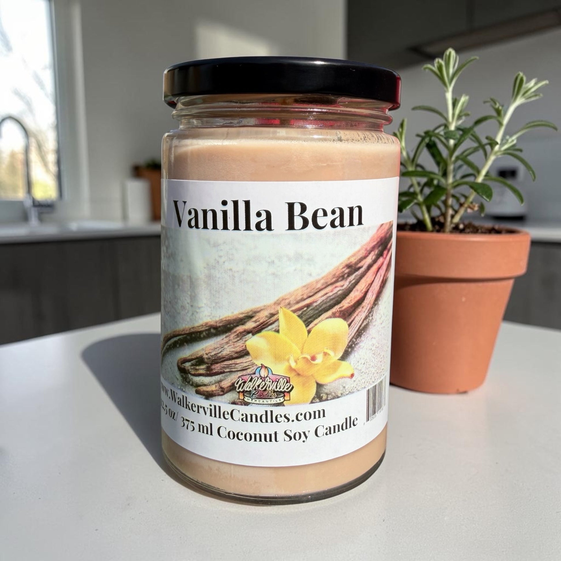 Vanilla Bean Coconut Soy 12.5 oz/ 375 ml Candle Wood Wick - Walkerville Candles